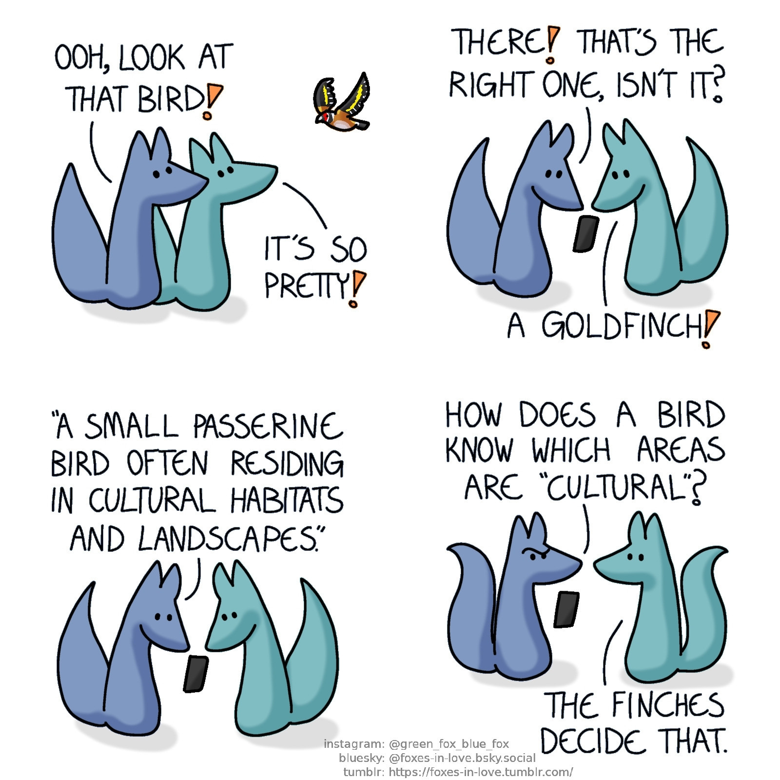 A comic of two foxes, one of whom is blue, the other is green. In this one, Blue and Green see a splendidly coloured bird fly by, and halt to admire it.
Blue: Ooh, look at that bird!
Green: It's so pretty!

Blue pulls out his phone, and both foxes peer at the scren as he searches for something.
Blue: There! That's the right one, isn't it?
Green: A goldfinch!
Blue, reading out loud: "A small passerine bird often residing in cultural habitats and landscapes."

Blue looks up to Green, looking puzzled.
Blue: How does a bird know which areas are "cultural"?
Green: The finches decide that.