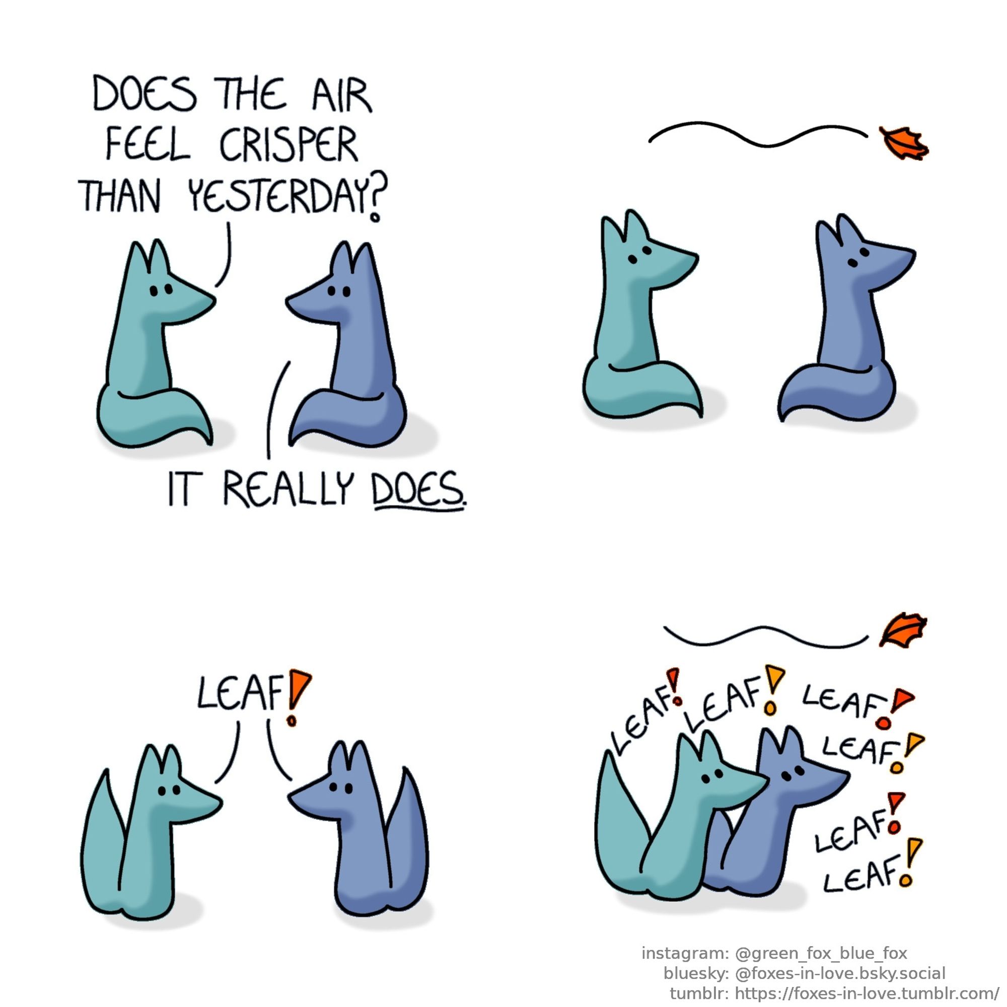 A comic of two foxes, one of whom is blue, the other is green. In this one, Blue and Green are sitting outside, looking at each other.
Green: Does the air feel crisper than yesterday?
Blue: It really does.

Both of the foxes pause, turning to look at a red autumn leaf floating past them in the wind.

The foxes turn to look at each other, full of excitement.
Both foxes, simultaneously: Leaf!

Continuing to chant "leaf! leaf! leaf! leaf!", the foxes start chasing after the floating autumn leaf, full of seasonal glee.