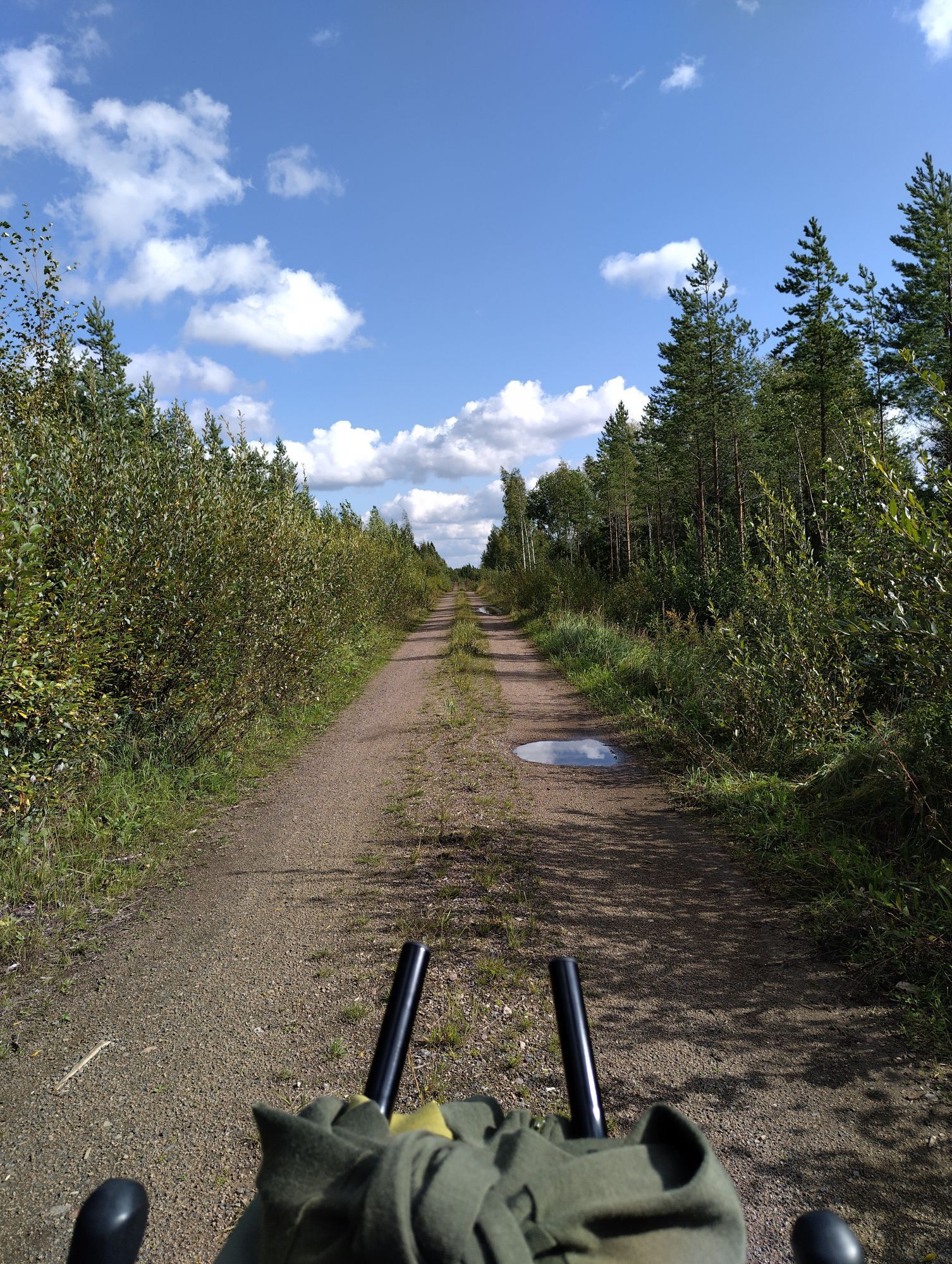 polkupyörä aurinkoisella metsätiellä / cykel på en solig skogsväg