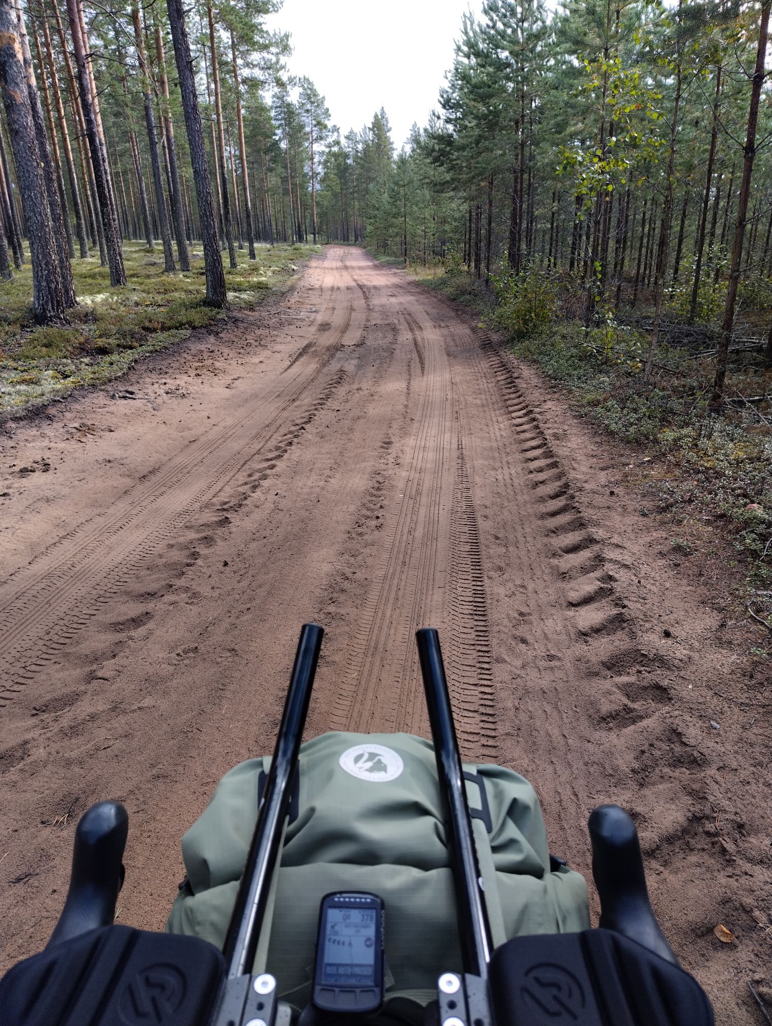 polkupyörä metsätiellä / cykel på en skogsväg