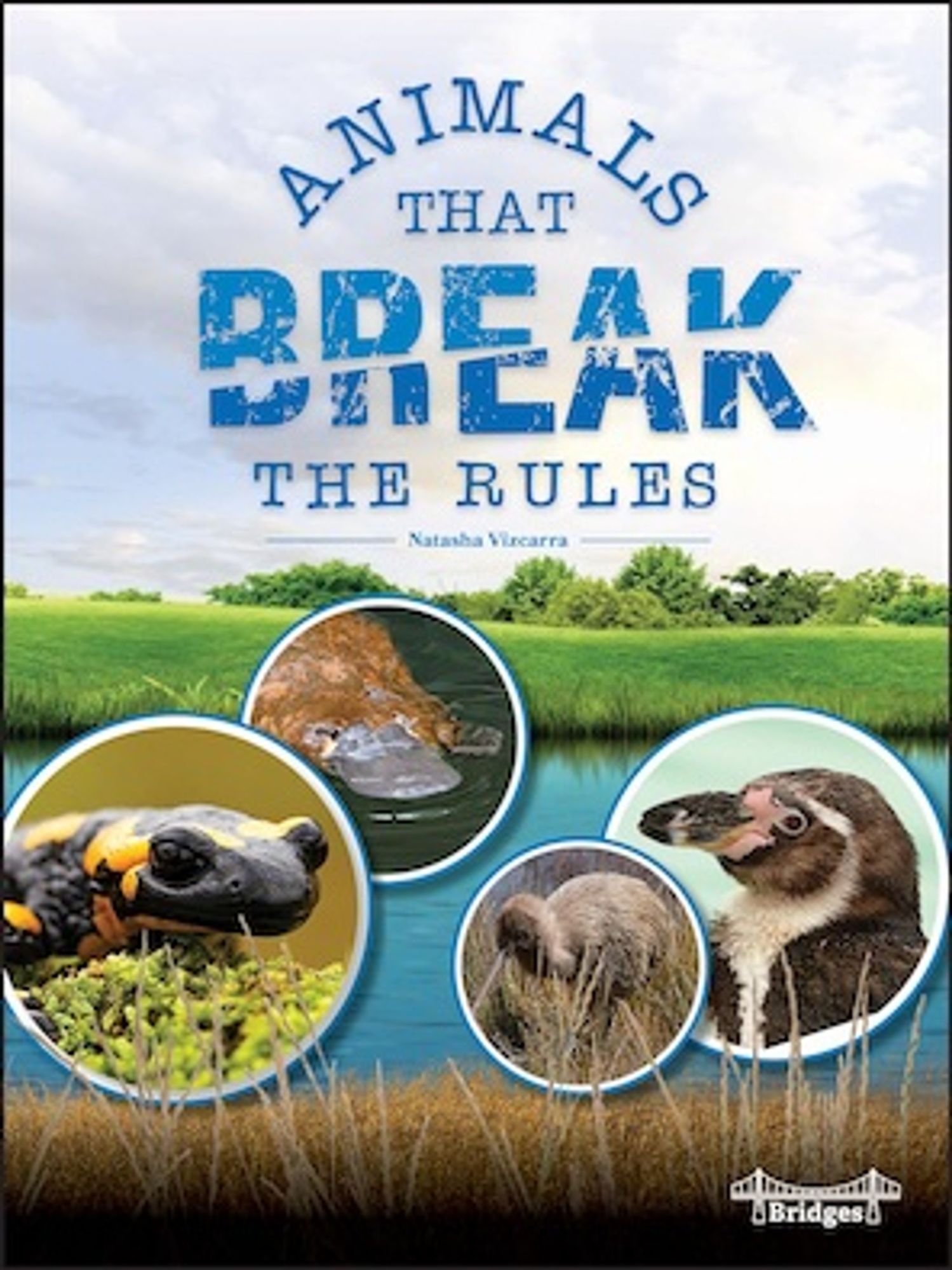 Book cover for Animals that Break the Rules shows insets of four strange animals.