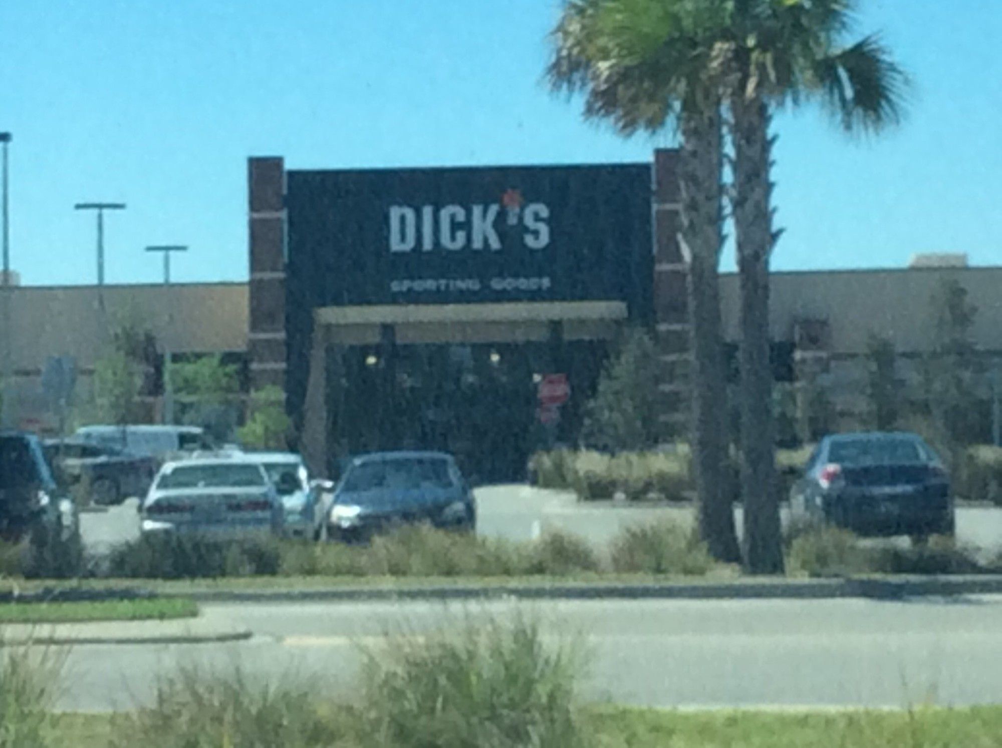 dick