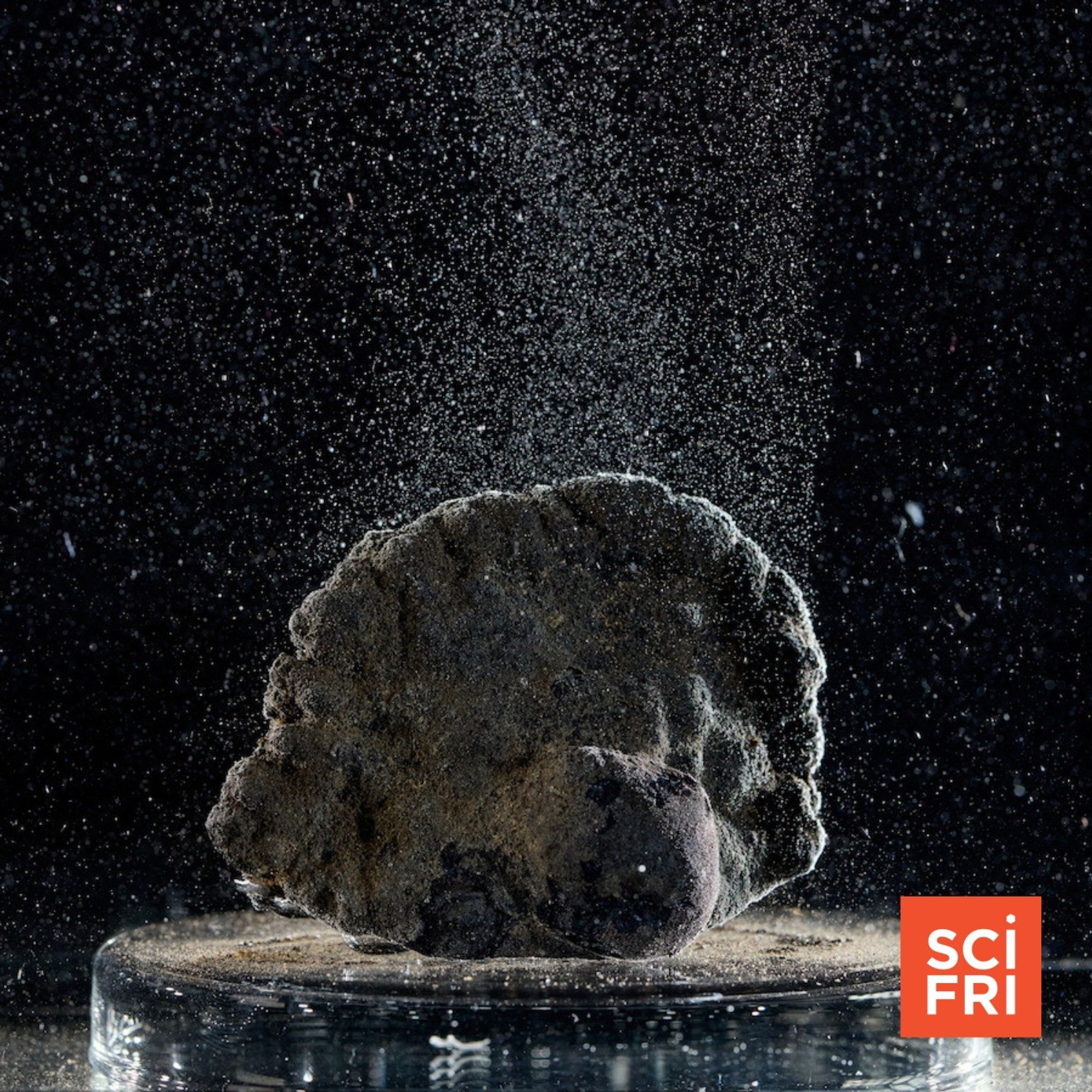 A rock on a platform under clear water, with little bubbles floating off of it.