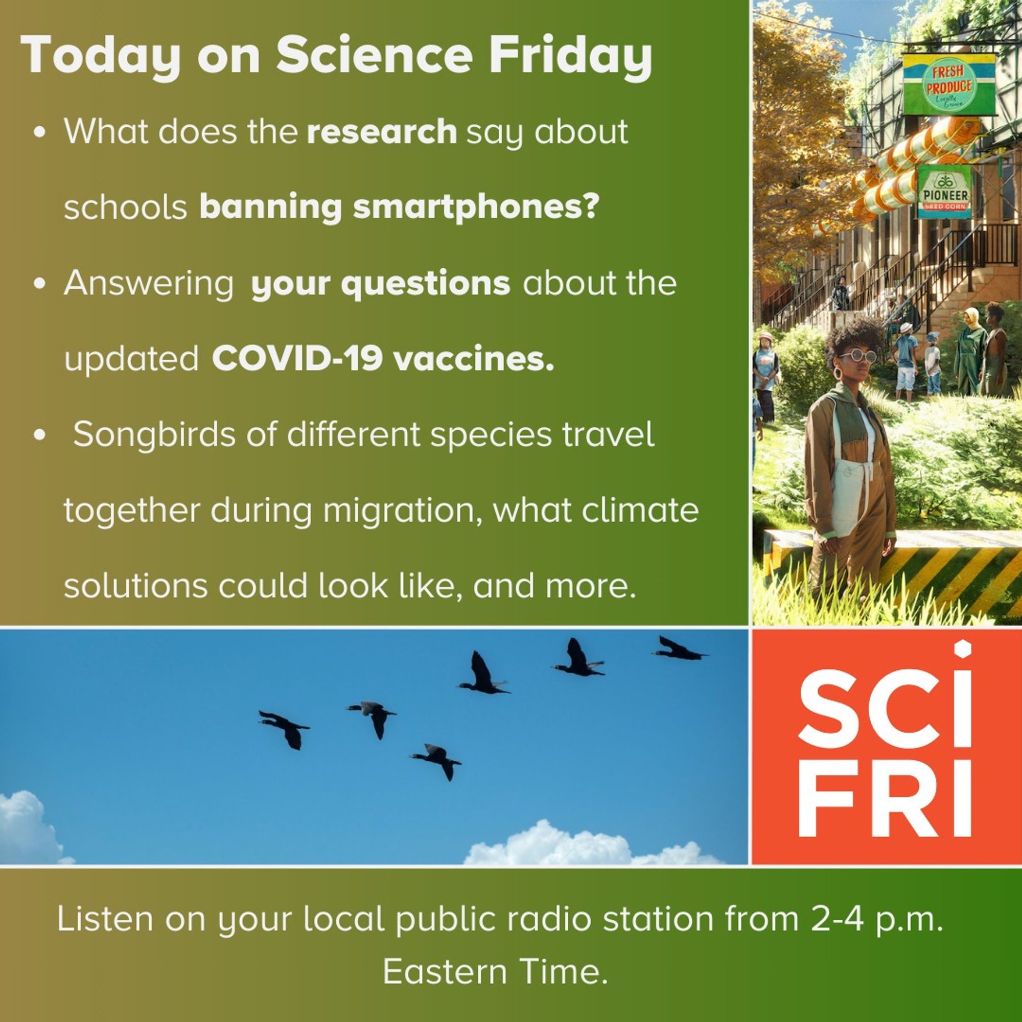 Today on Science Friday
What does the research say about smartphone bans in schools? 
Answering your questions about the updated COVID-19 vaccines. 
Exploring what the ideal climate solutions could look like, the heaviest antimatter nucleus,  songbird species, travel together during migration, and much more. 
Listen on your local public radio station from 2-4 p.m. Eastern Time.