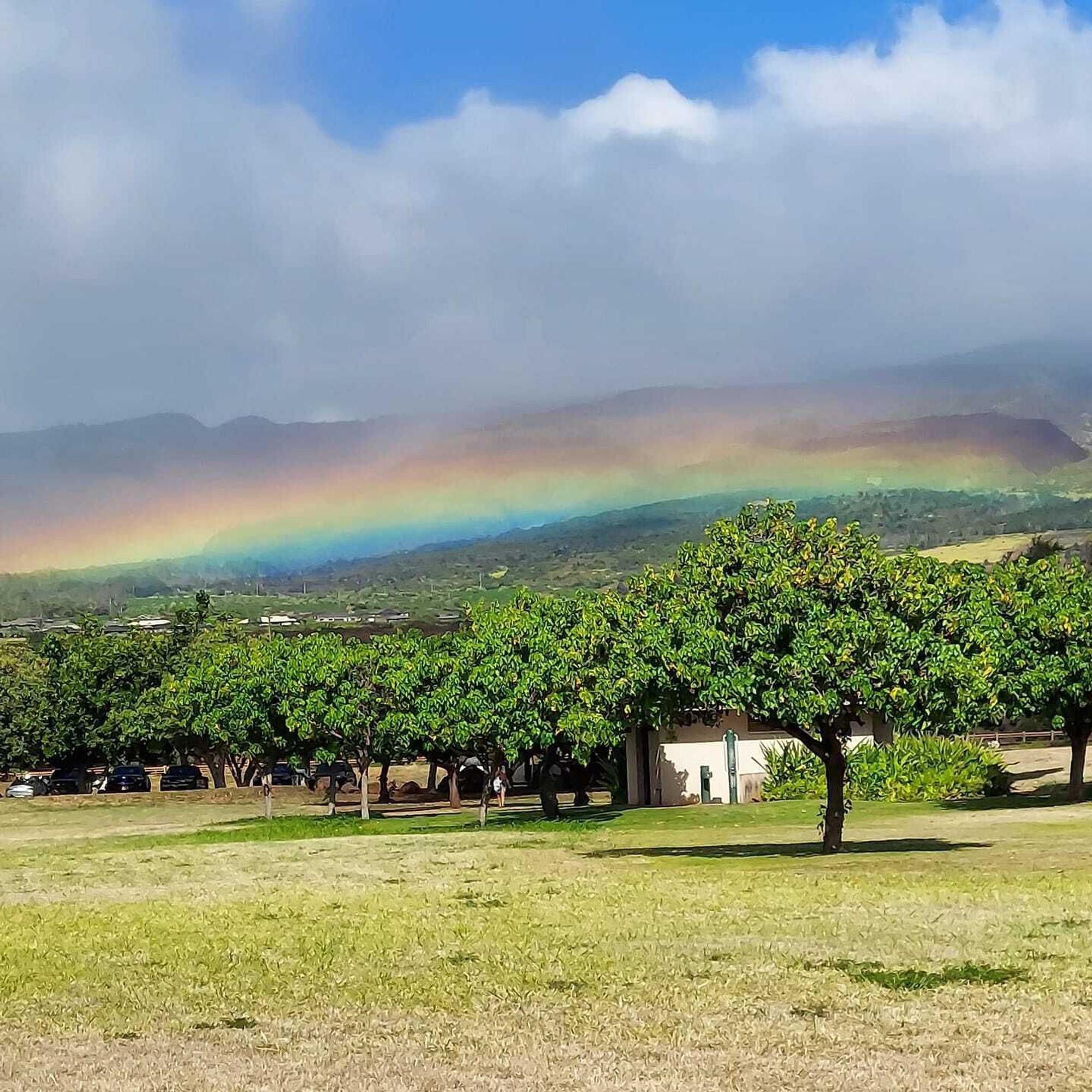 Rainbow mist on Maui June 2023 photo taken from the car (passenger)" Credit: Gayle 