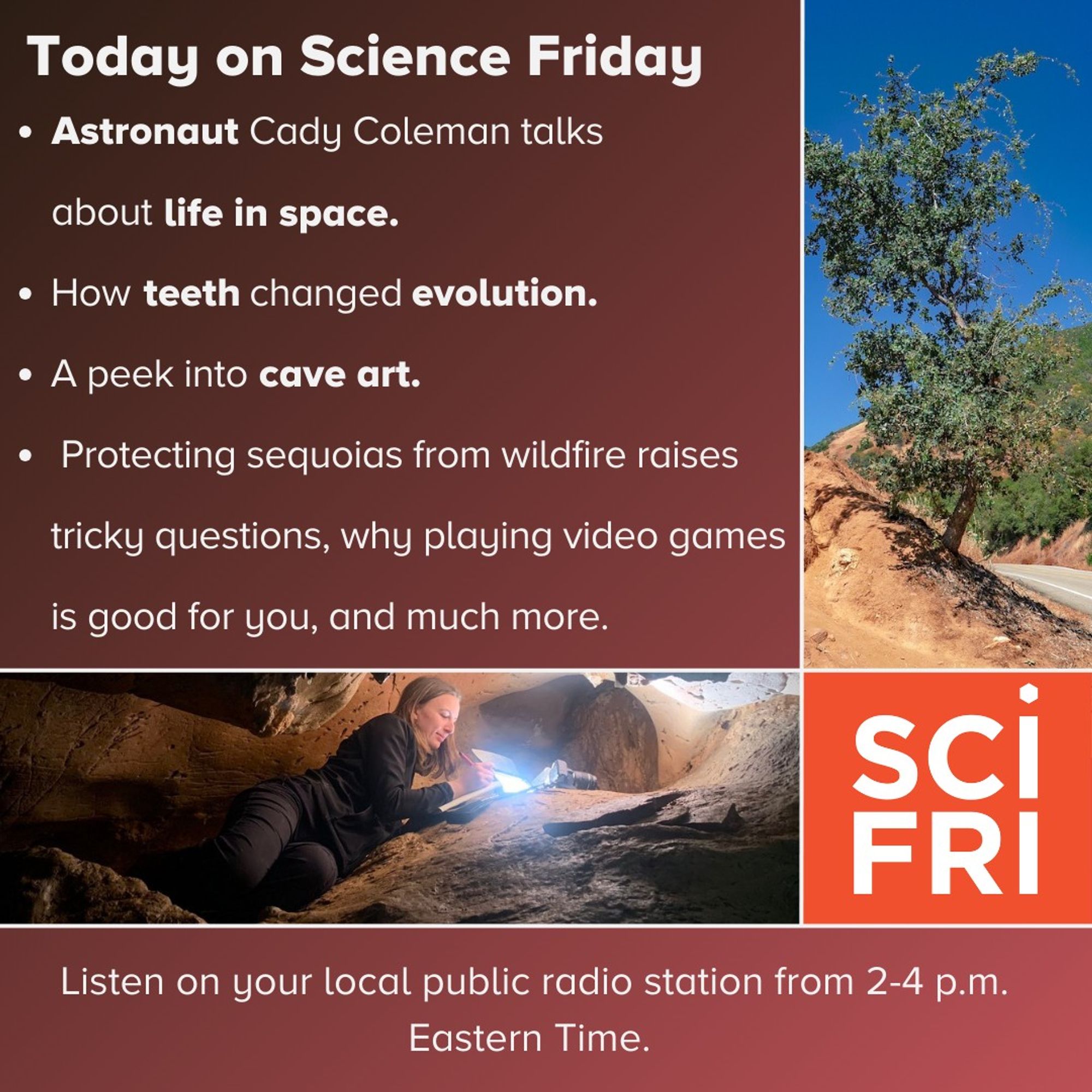 Today on Science Friday 

Astronaut Cady Coleman talks about life in space.
How teeth changed evolution.
A peek into cave art. 
Protecting Sequoias from wildfire Raises tricky questions, why playing video games is good for you, and more. 

Listen on your local public radio station from 2-4 p.m. Eastern Time.