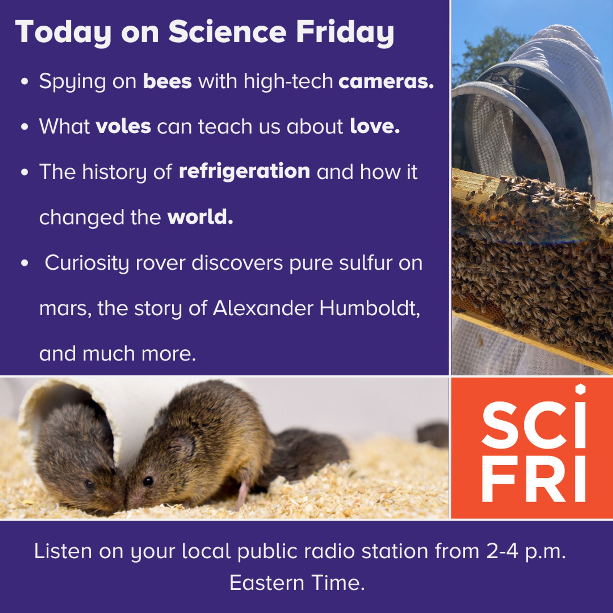 Spying on bees with high-tech cameras.  
What voles can teach us about our brains and love.
The history of refrigeration changed the world. 
Curiosity rover discovers pure sulfur on Mars, the story of Alexander Humboldt and his ecological explorations, and much more.