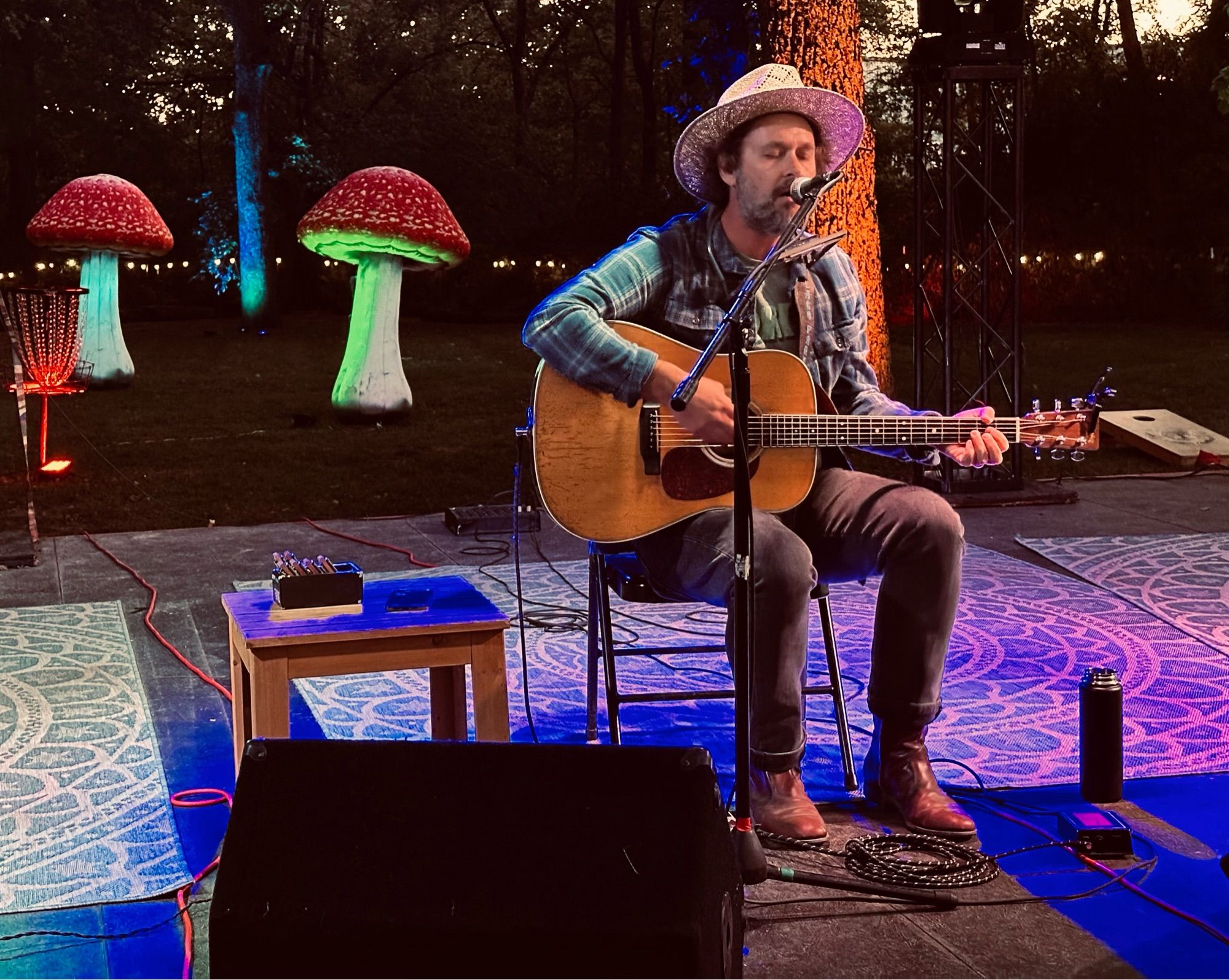 Chicago Farmer singing and playing guitar while two glowing mushrooms look on in the background.