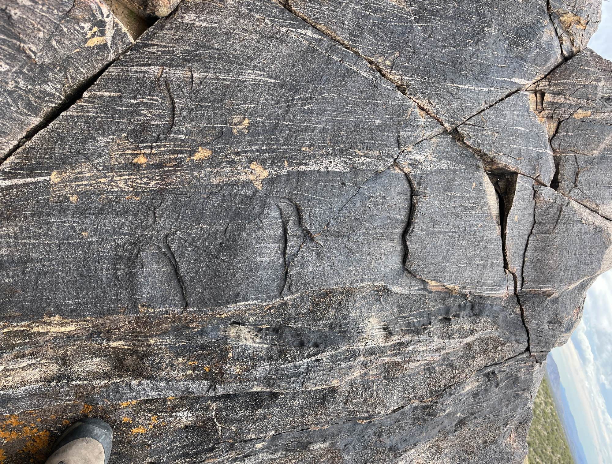 Crossbedded ? fabric in the 1.7 billion year old Yavapai Schist in central Arizona USA. Erosion surfaces, wavy, truncated, and down lapping lamina sets, fining-upward ? successions, fine- and coarse-grained interbeds. Boot for scale.