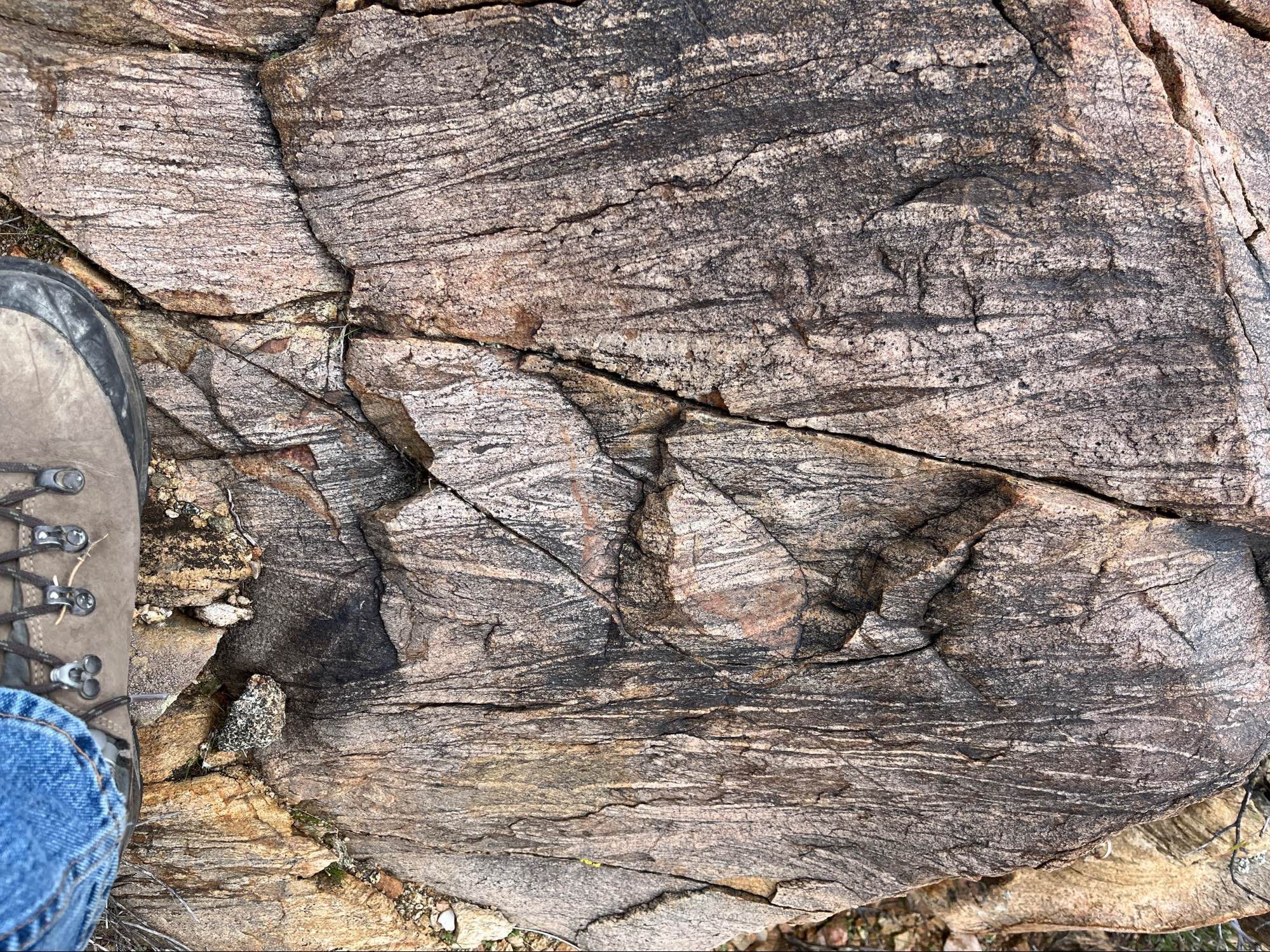 Crossbedded? fabric in the 1.7 billion year old Yavapai Schist in central Arizona USA. Boot for scale. Dark and light interlaminated metasandstone with wavy subhorizontal lamina/lamina sets, truncated and downlappping laminae.