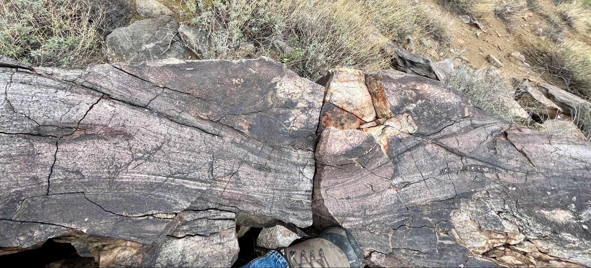 Crossbedded ? metasandstone in the 1.7 billion year old Yavapai Schist in central Arizona USA. Meter-scale hummocky crossbedding with rip-up clasts, truncated lamina, finer- and coarser-grained interbeds. Boot for scale.