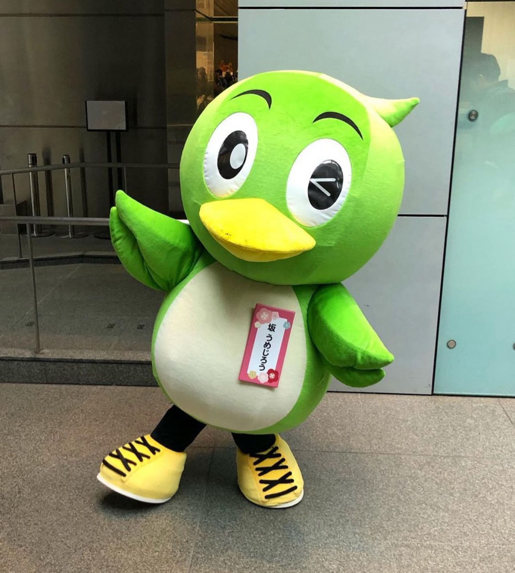 A green bird mascot wearing yellow lace-ups sinks and poses in a corridor.