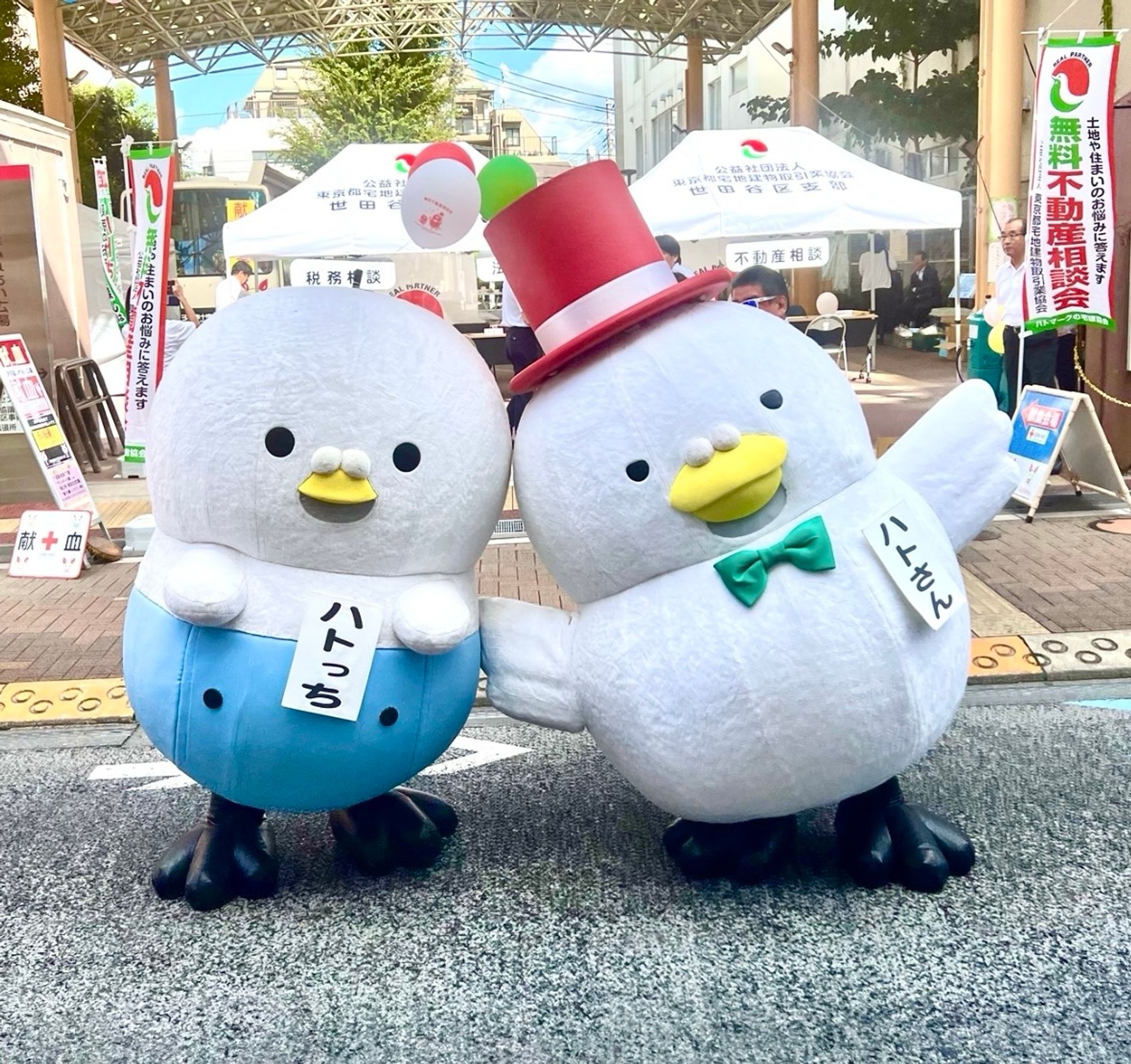 Two white pigeon mascots, one with blue shorts and one with a red top hat and green bow tie, stand in the street.