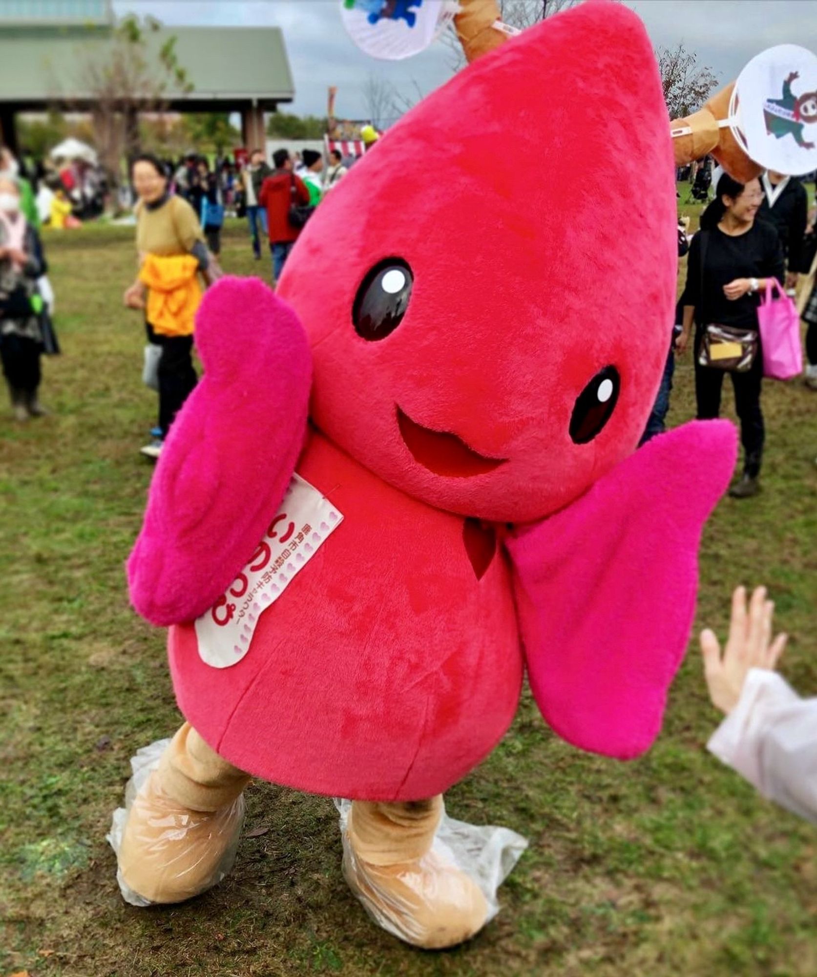 A smiling red mascot, who has a teardrop shaped head and wings, stands in a muddy field.