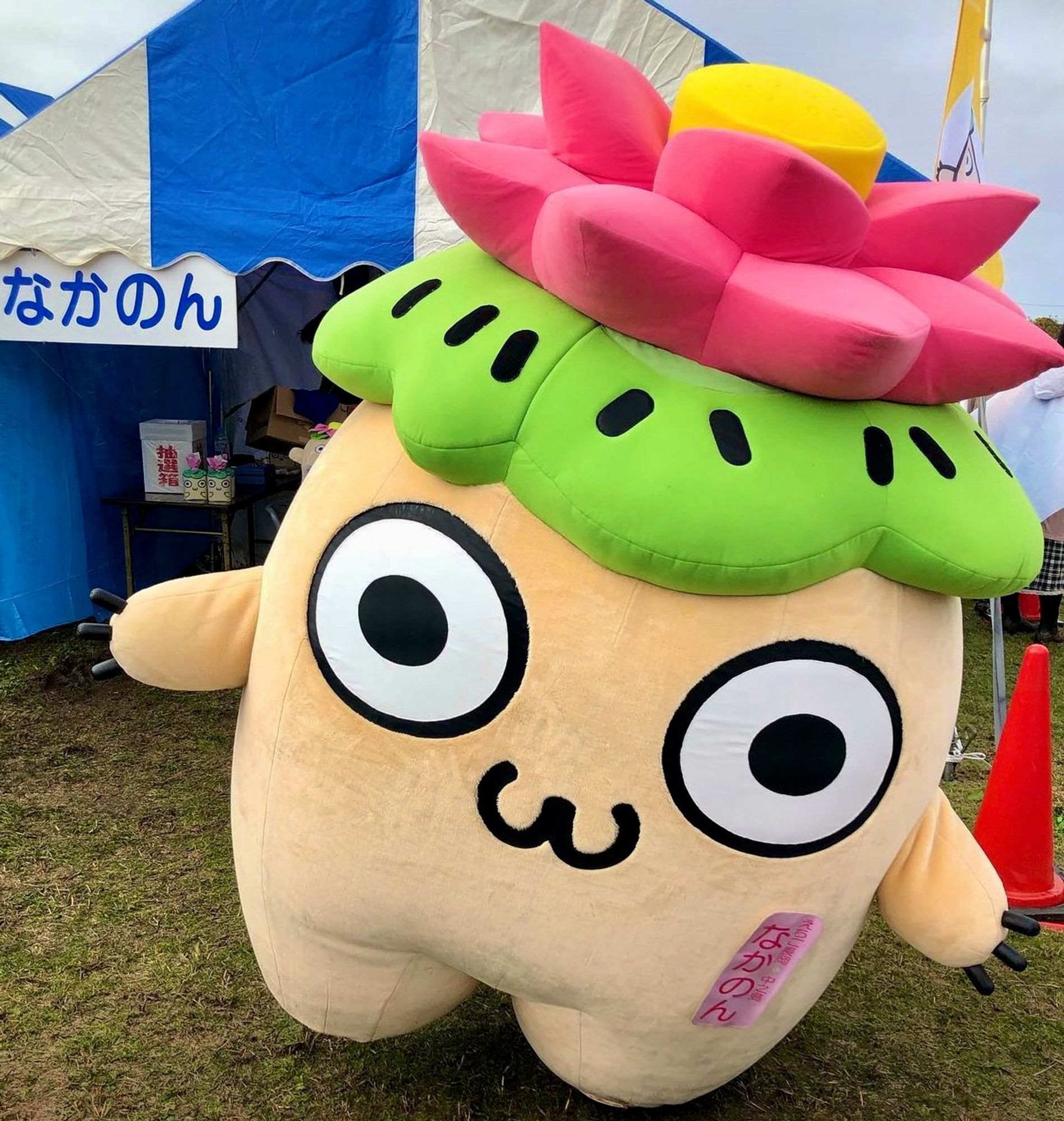 A large lotus root with big eyes stands in a field.