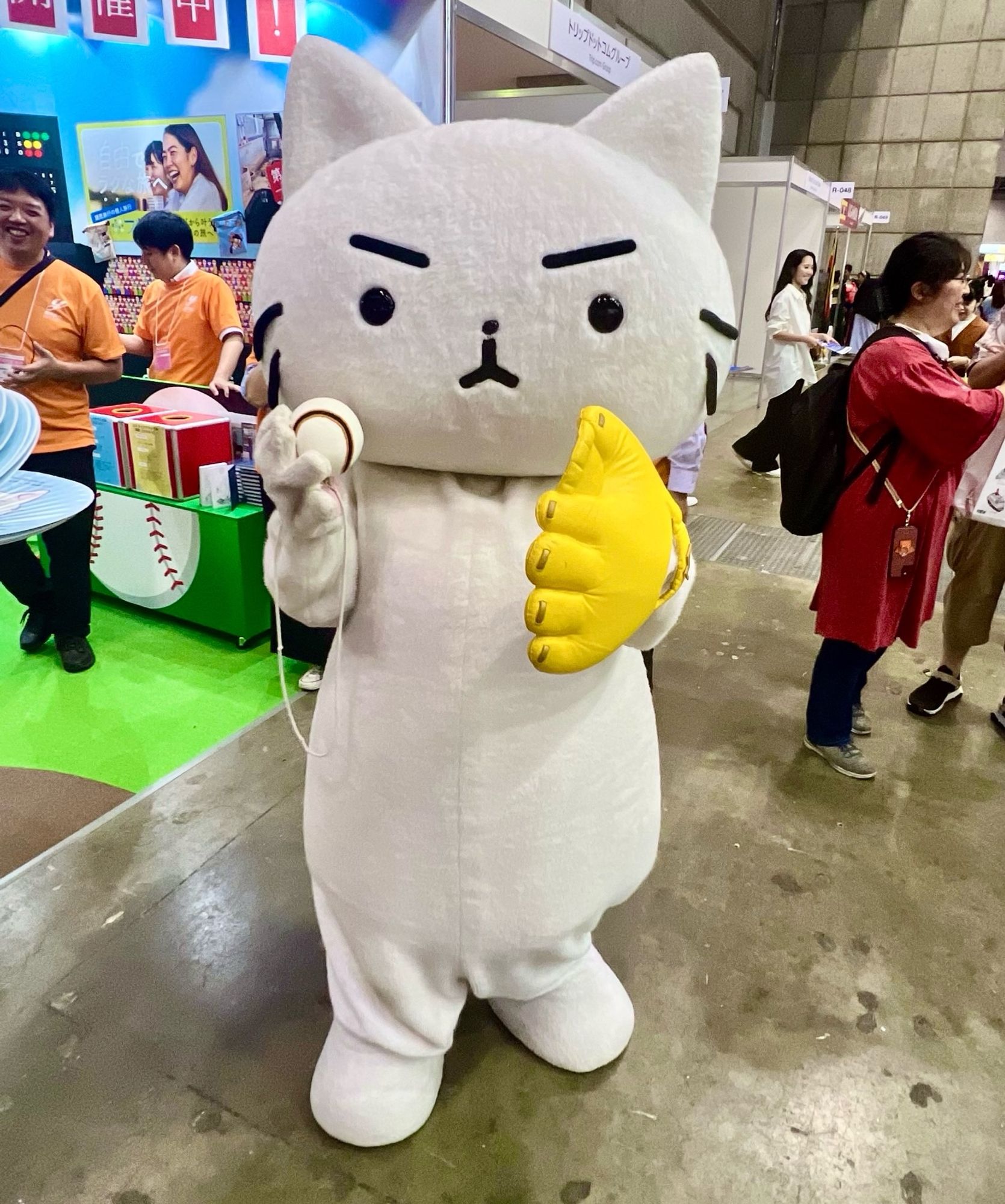 A baseball playing cat, with a look of intense concentration, has a glove on one hand and holds a ball in the other.