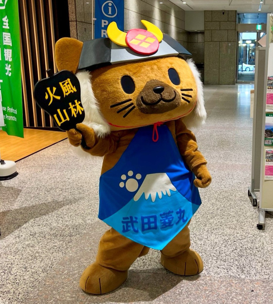 A brown dog in a black samurai helmet and blue apron (with a picture of Mt. Fuji on it)