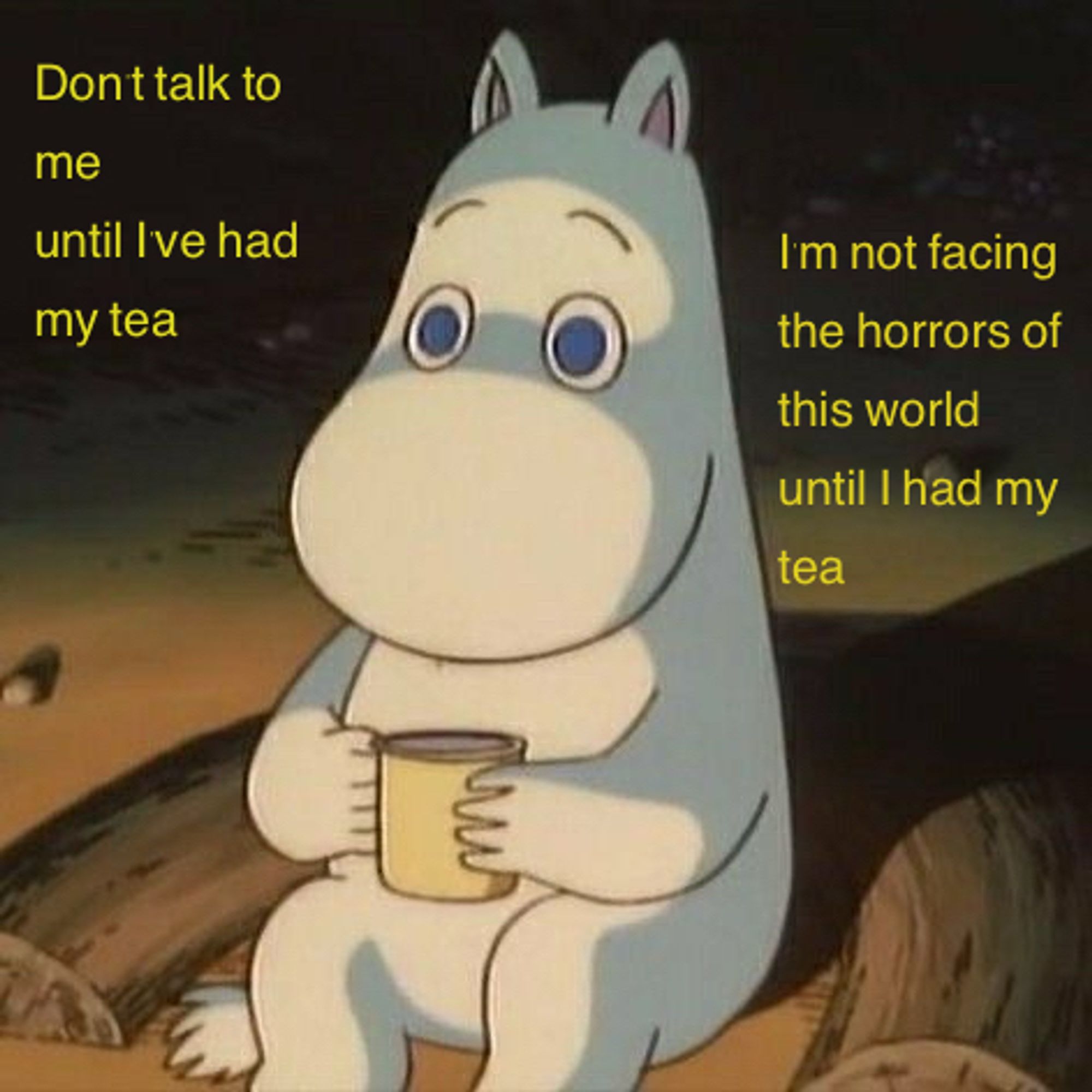 Moomin sitting on the beach at a bonfire, holding a cup. 
Meme text: Don't talk to me until I've had my tea

I'm not facing the horrors of this world until I had my tea