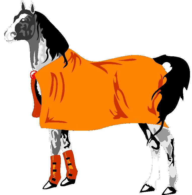 An appaloosa horse protected from the cold by an orange horse blanket. Mark wonders how he knows it’s an appaloosa, and with such certainty. The origins of some kinds of knowledge are untraceable, unknowable.