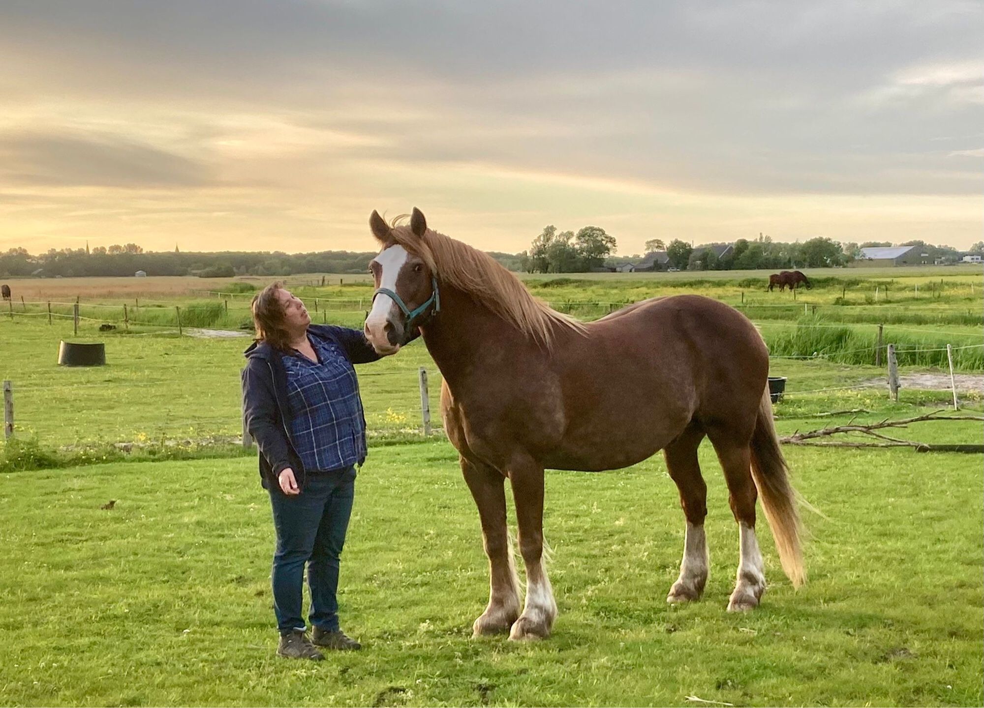 Ik en een groot paard in de groene wei