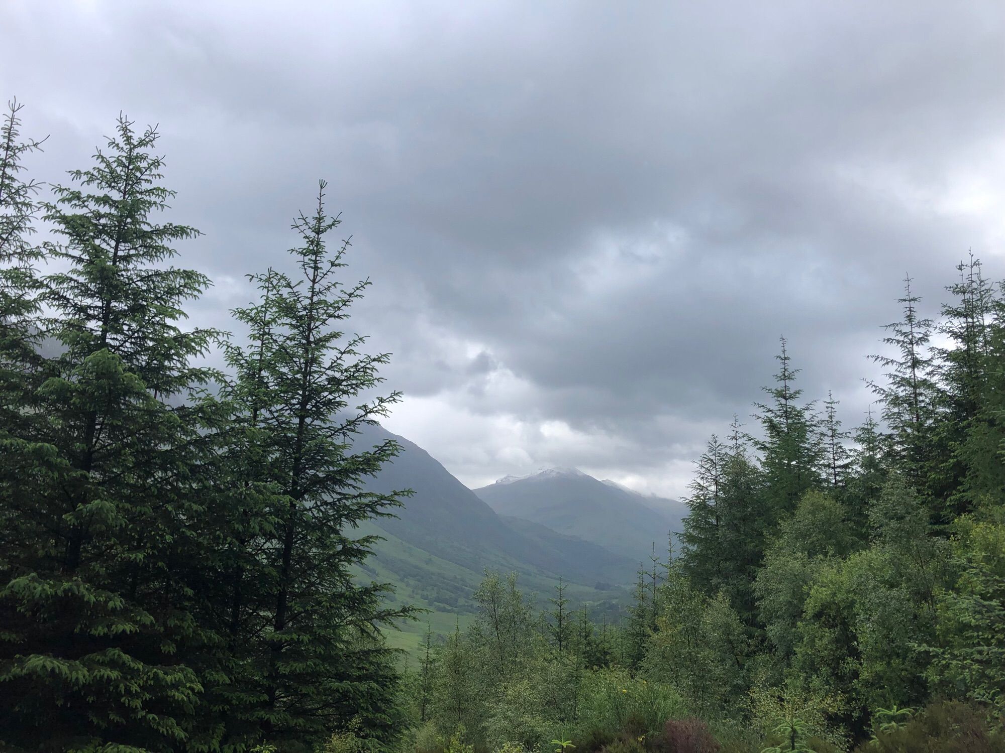 Zicht op berg Ben Nevis bij Fort William in Schotland met dennenbomen op de voorgrond