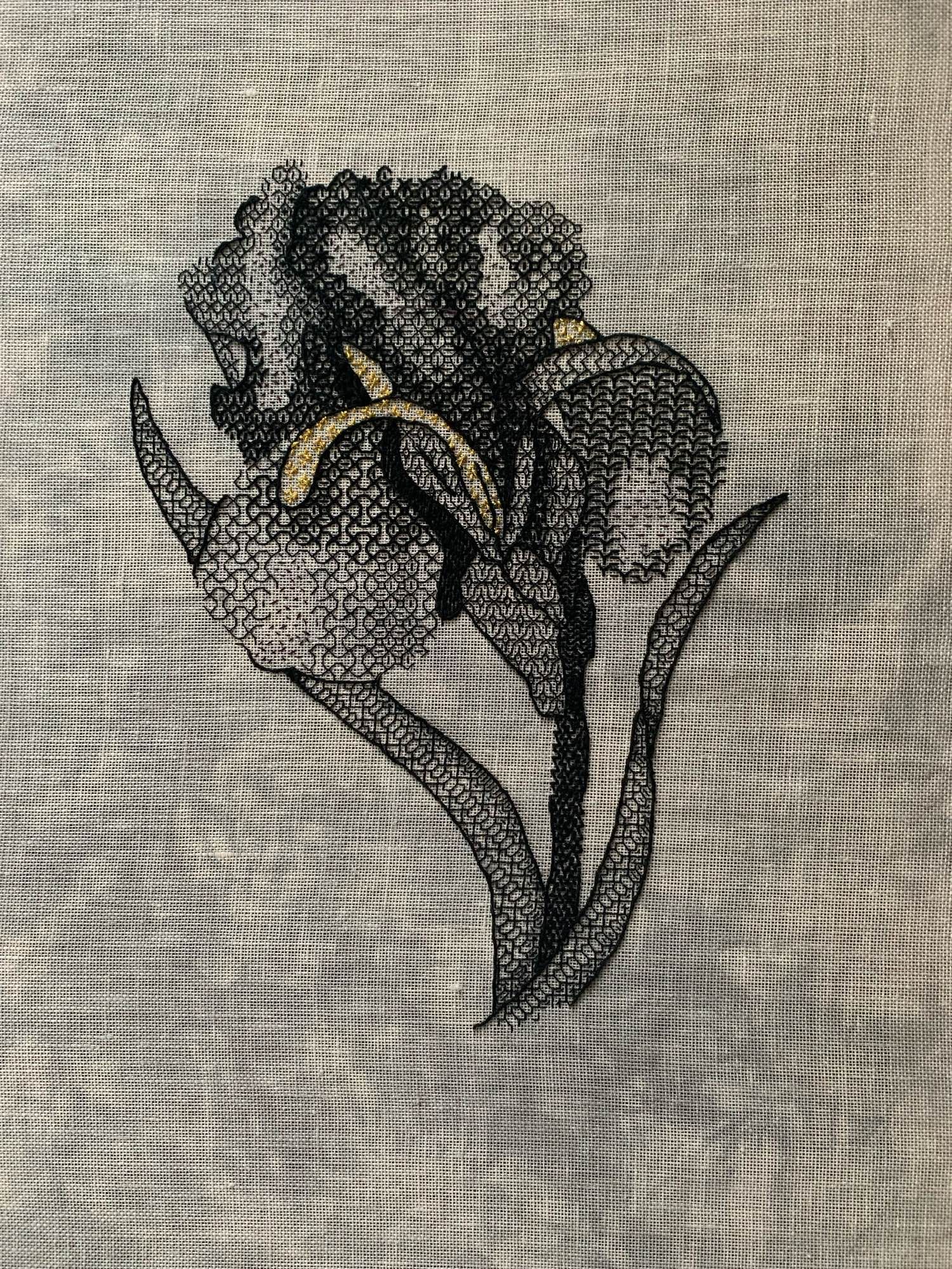 Blackwork Iris done on a mottled grey background. It’s my own interpretation of one done by the Royal school of needlework.