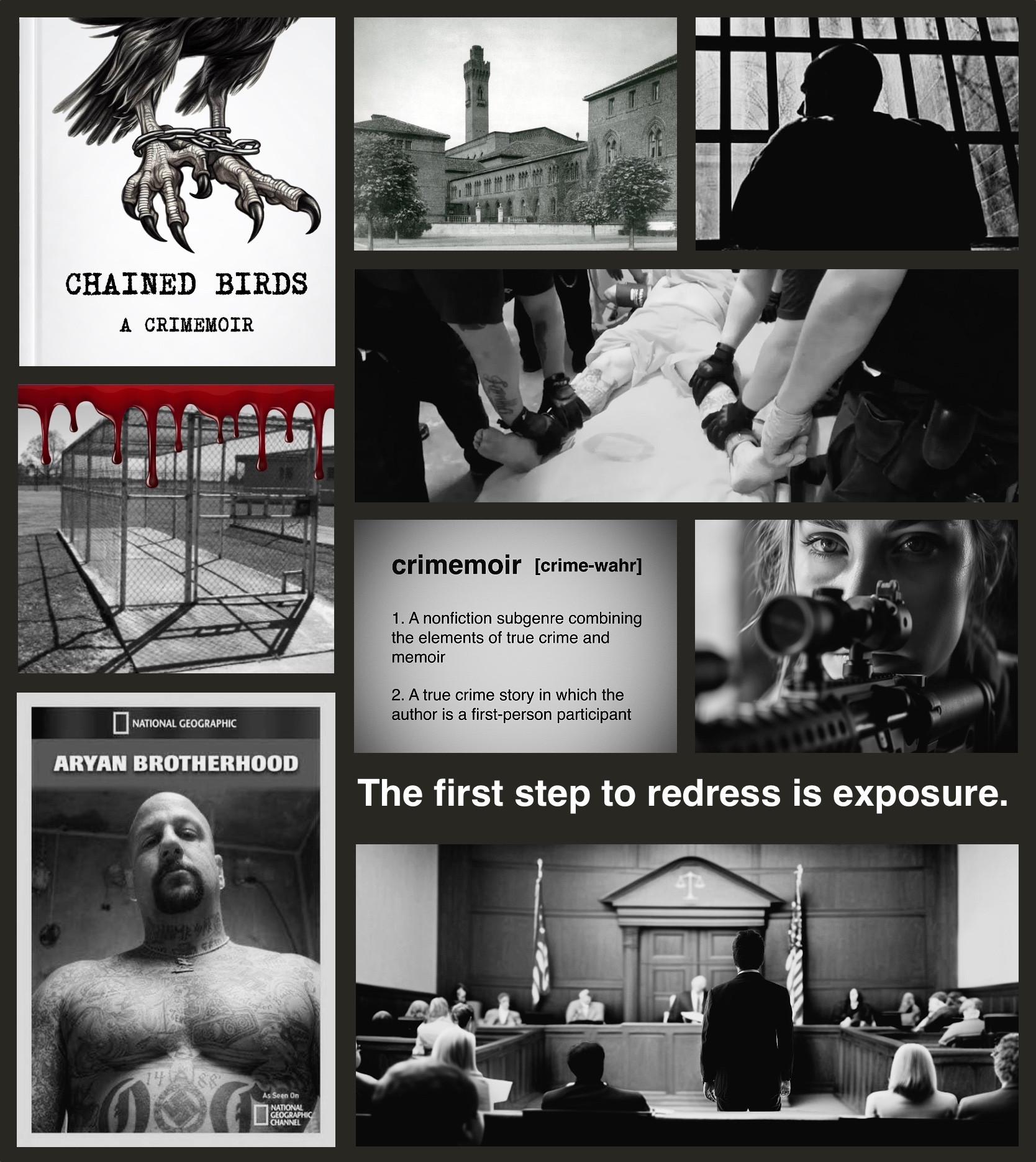 #MoodPitch mood board for my true crime memoir CHAINED BIRDS: A CRIMEMOIR