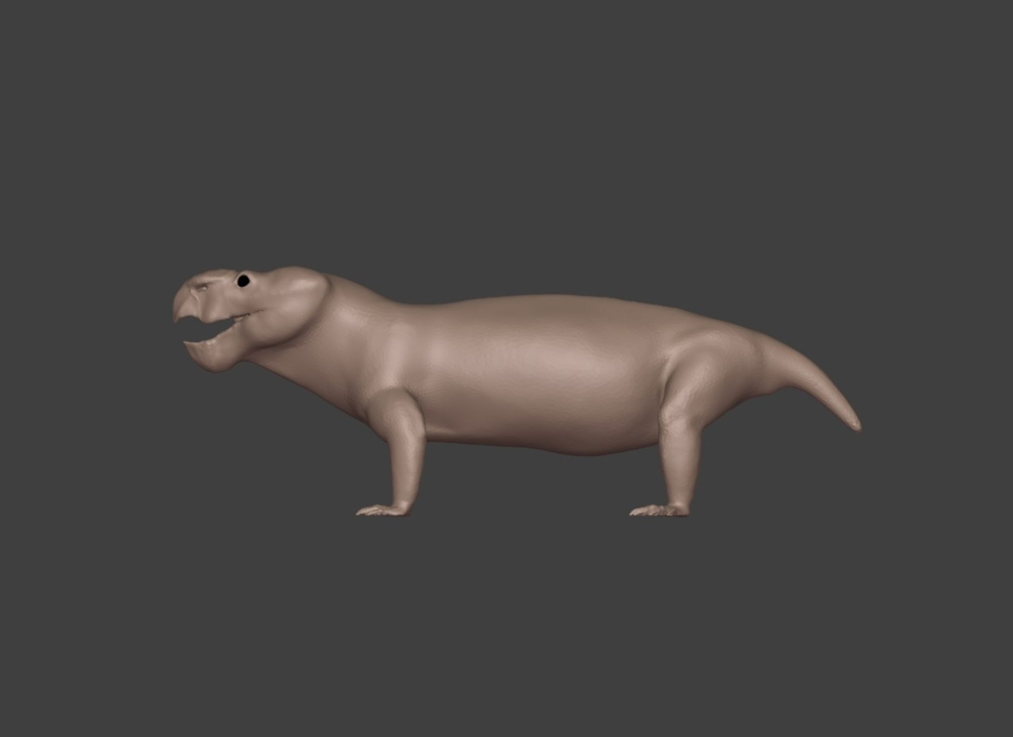 3d model of the late Permian dicynodont Bulbasaurus phylloxyron shown from the side, facing left. It's depicted as having a proportionally relatively large head, and a low slung body with a short little tail. It has a deep snout with a hook-like beak, with a bulbous, keratin covered bos above the nostrils. The legs are quite short, the front pair is sprawling, and the back legs are semi-sprawling.