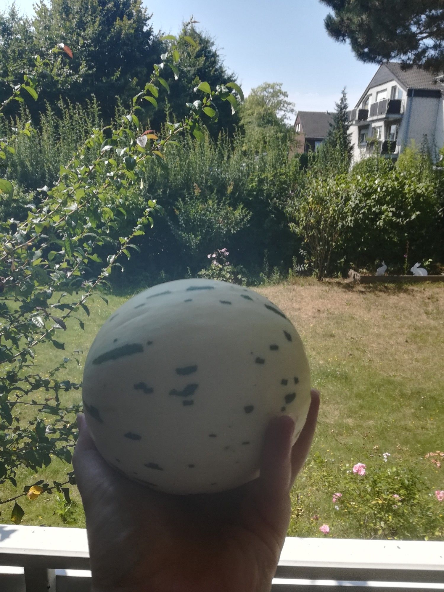 A yellow mellon with some green stripes on it is held in a green sunny garden