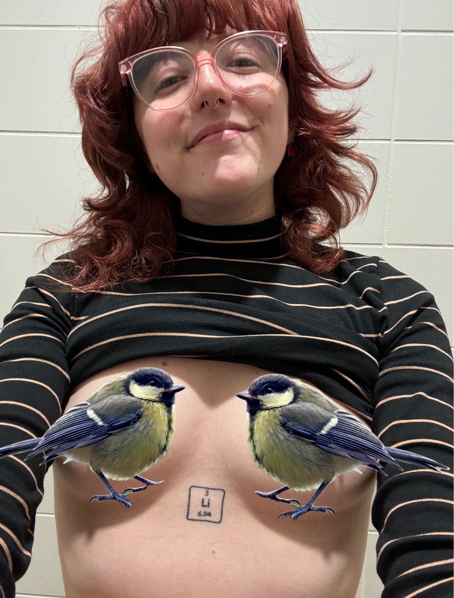 a selfie of me in the tan tile walled bathroom; i have my shirt pulled up, exposing my tits. they are covered in pngs of tits (birds) 
the tit is a small yellow and grey bird with a black and white head