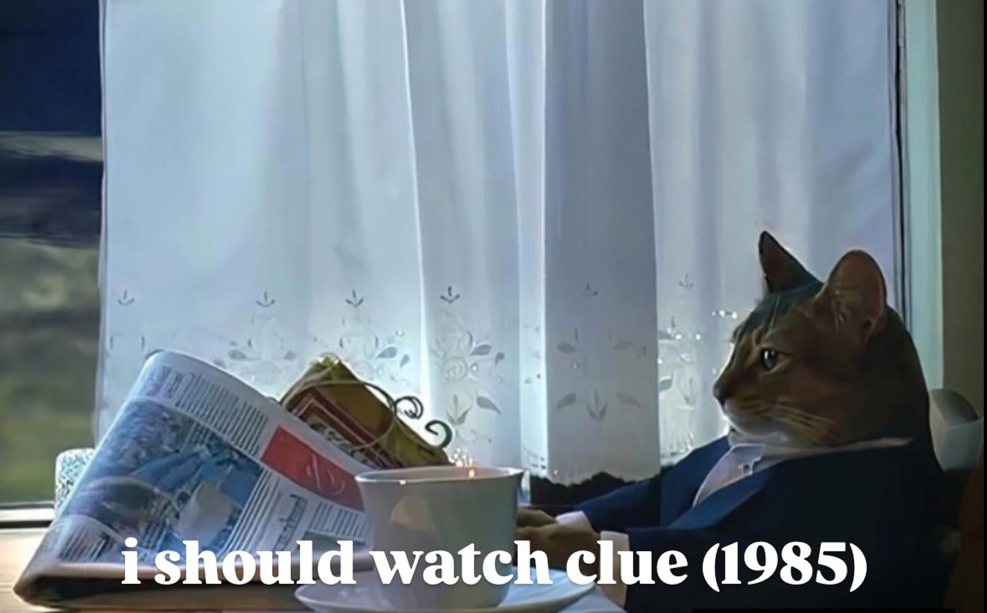 a tabby cat in a tuxedo reading a newspaper, but looking off into the middle distance; the words, "i should watch clue (1985)" in the forefront in white text