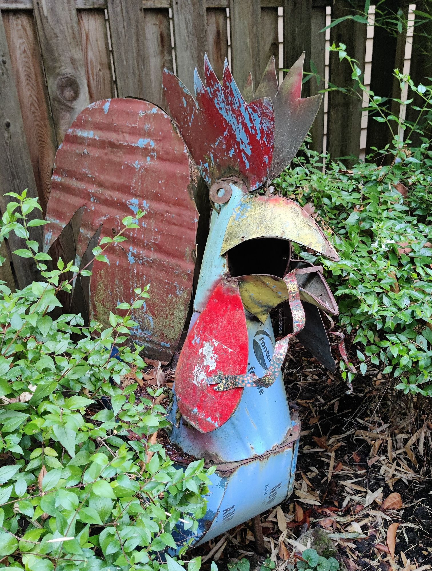 A big (around 5ft tall) metal rooster tucked in a garden corner with shrubs on either side and a wooden fence behind it. Curling down from it's beak is a spotted metal snake. The body of the rooster is light blue, the comb, wattles and tail feathers are red, and the beak is yellow.