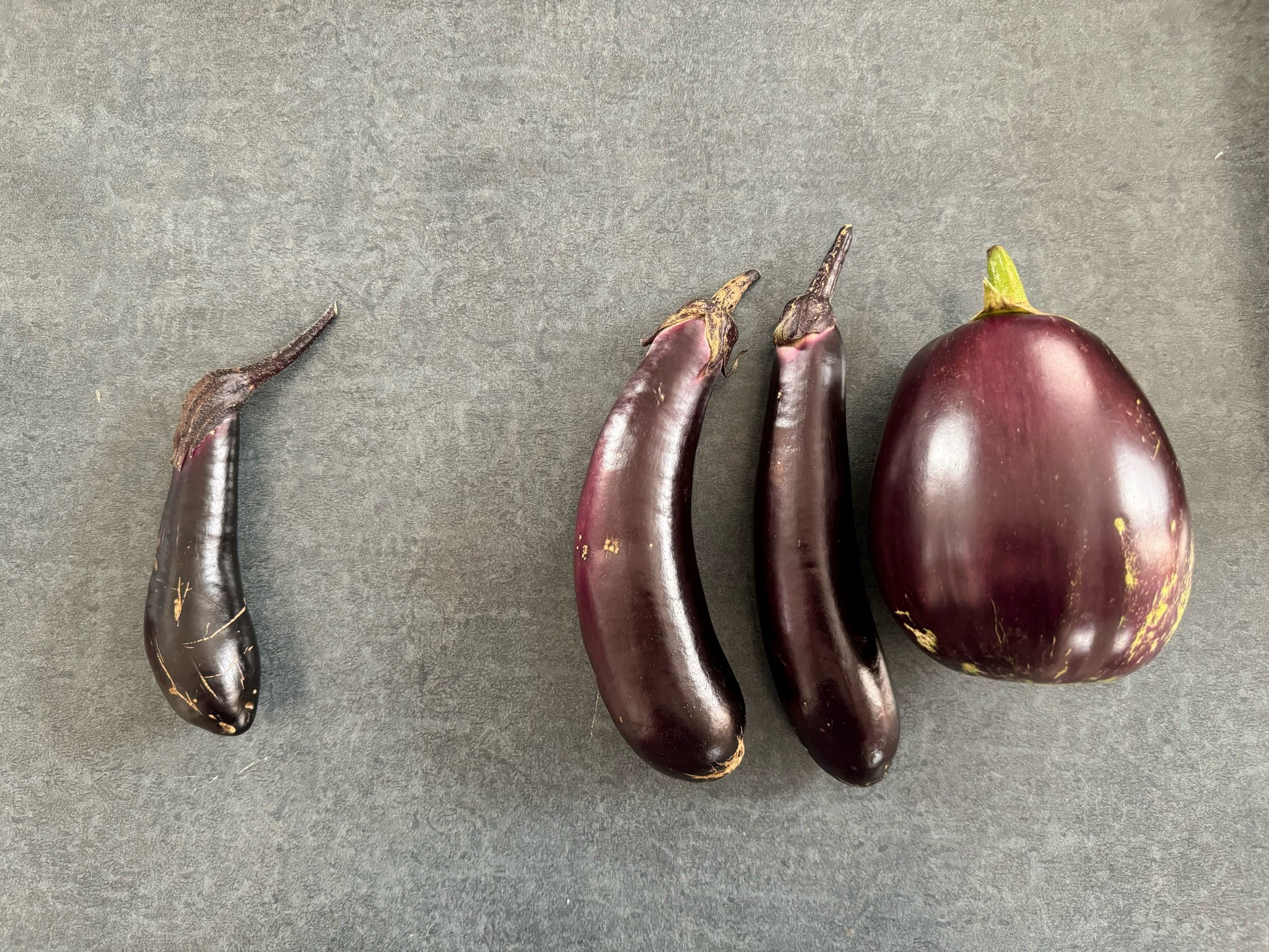 Left: three lovely-sized eggplants
Right: one scrawny, sad little eggplant