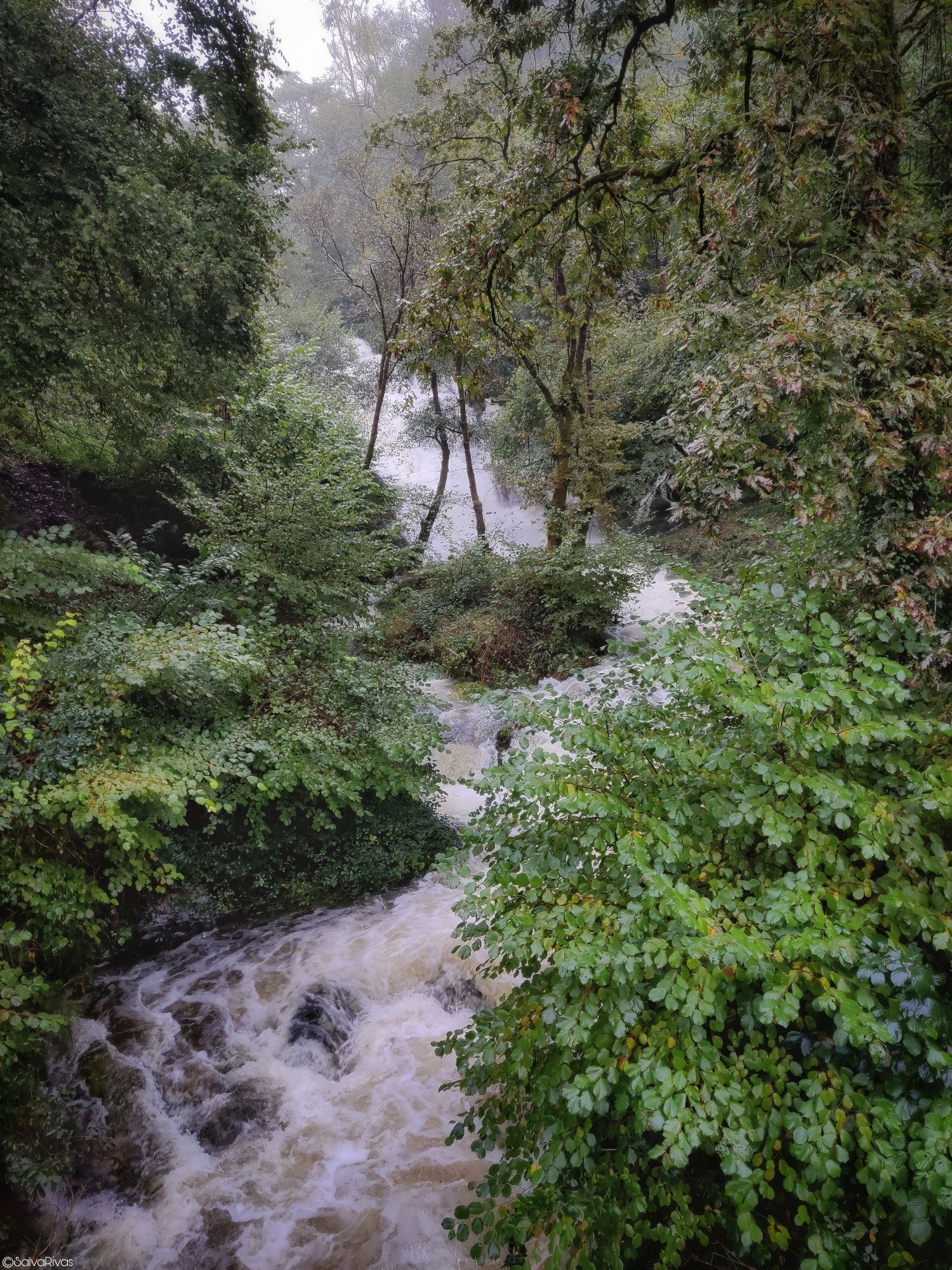 Water dynamics 🌿🍂 🍃🌬️🌀⛈️🦉. Freixas Waterfall  https://maps.app.goo.gl/sfk3sVAPGn1fico27