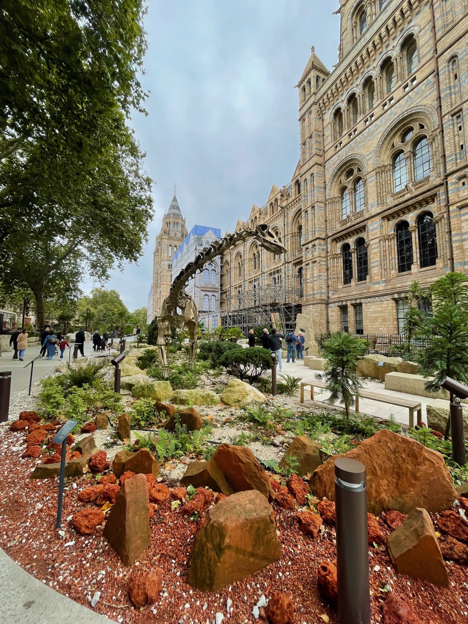 Outside the Natural Histoy Museum in London is the Evolution garden, overlooked by Fern the bronze diplodocus replica skeleton