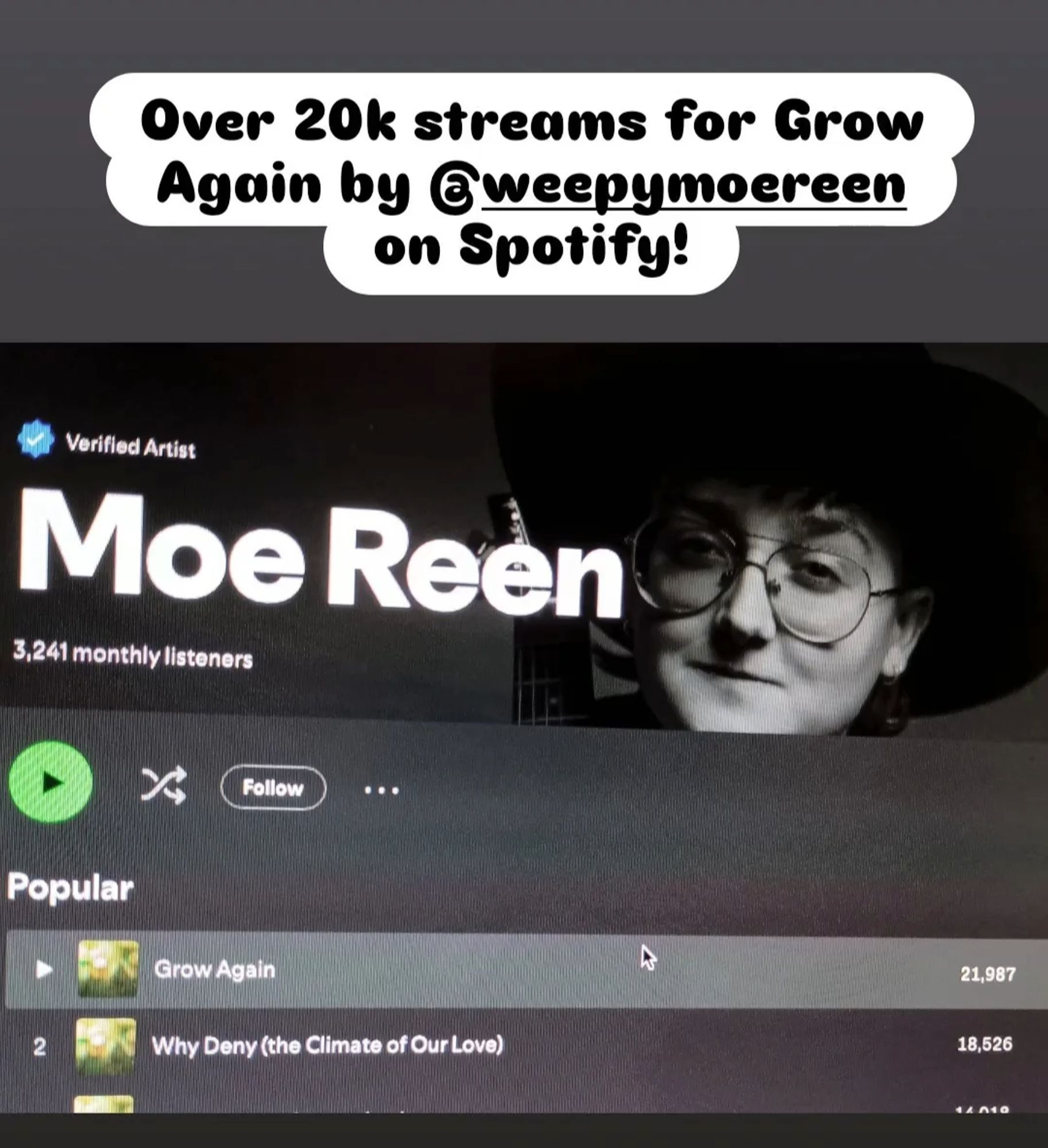 Picture of Moe Reen's song Grow Again on Spotify with 21,000 streams