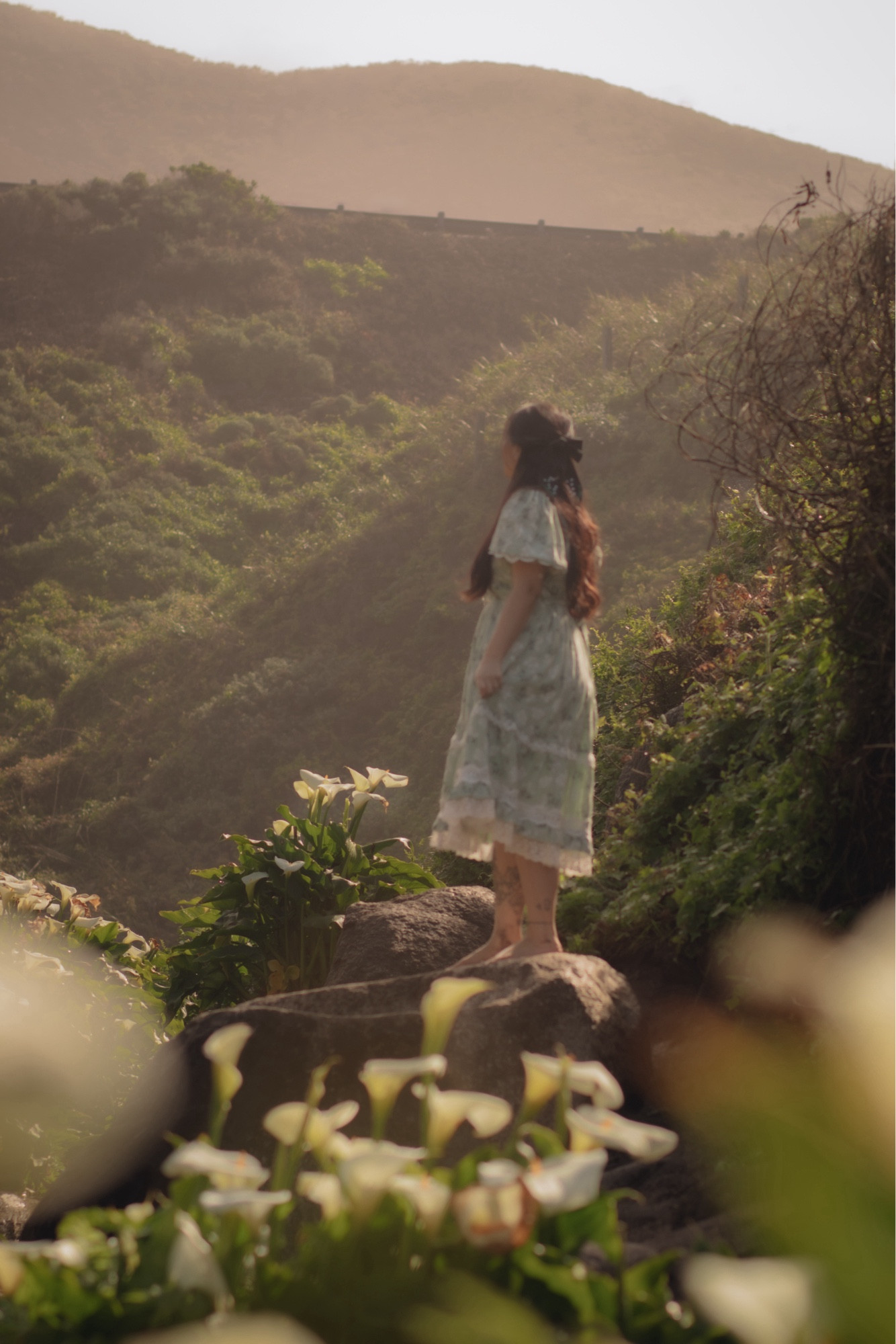 A girl in a dress, standing on a rock among the calla lilies.