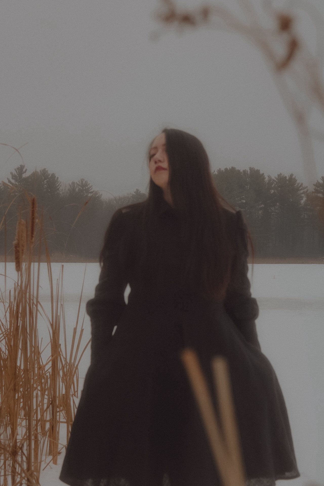 A girl in a black dress. A snowy frozen lake is in the background, along with some trees and fog.