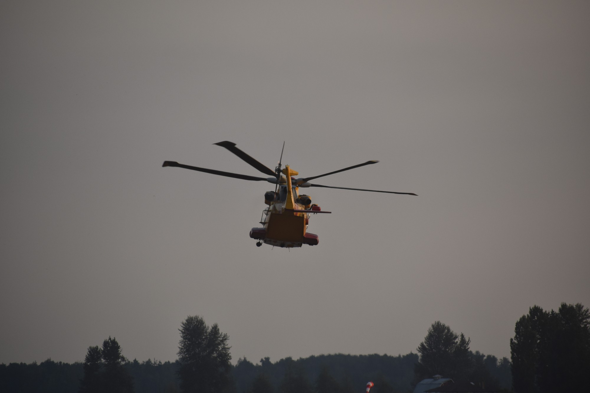 A CH-149 of the Canadian Air Force, at the Abbotsford International Airshow in 2024. Specifically here, it is flying actually right before an F-22!! 