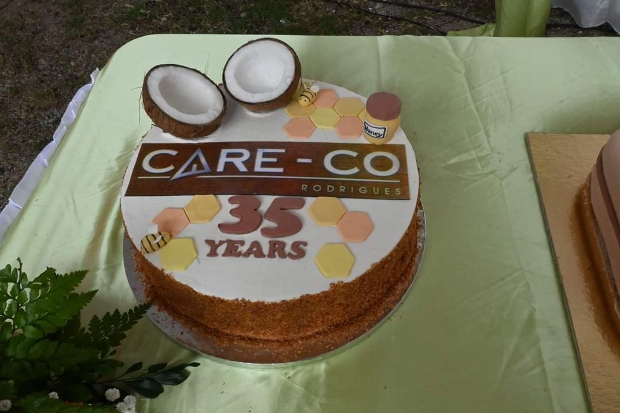 Cake for Care-Co's 35th birthday today.It's the place where I work.You see coconuts,  bees and honey as our workshop for disabled persons deals mainly with that.