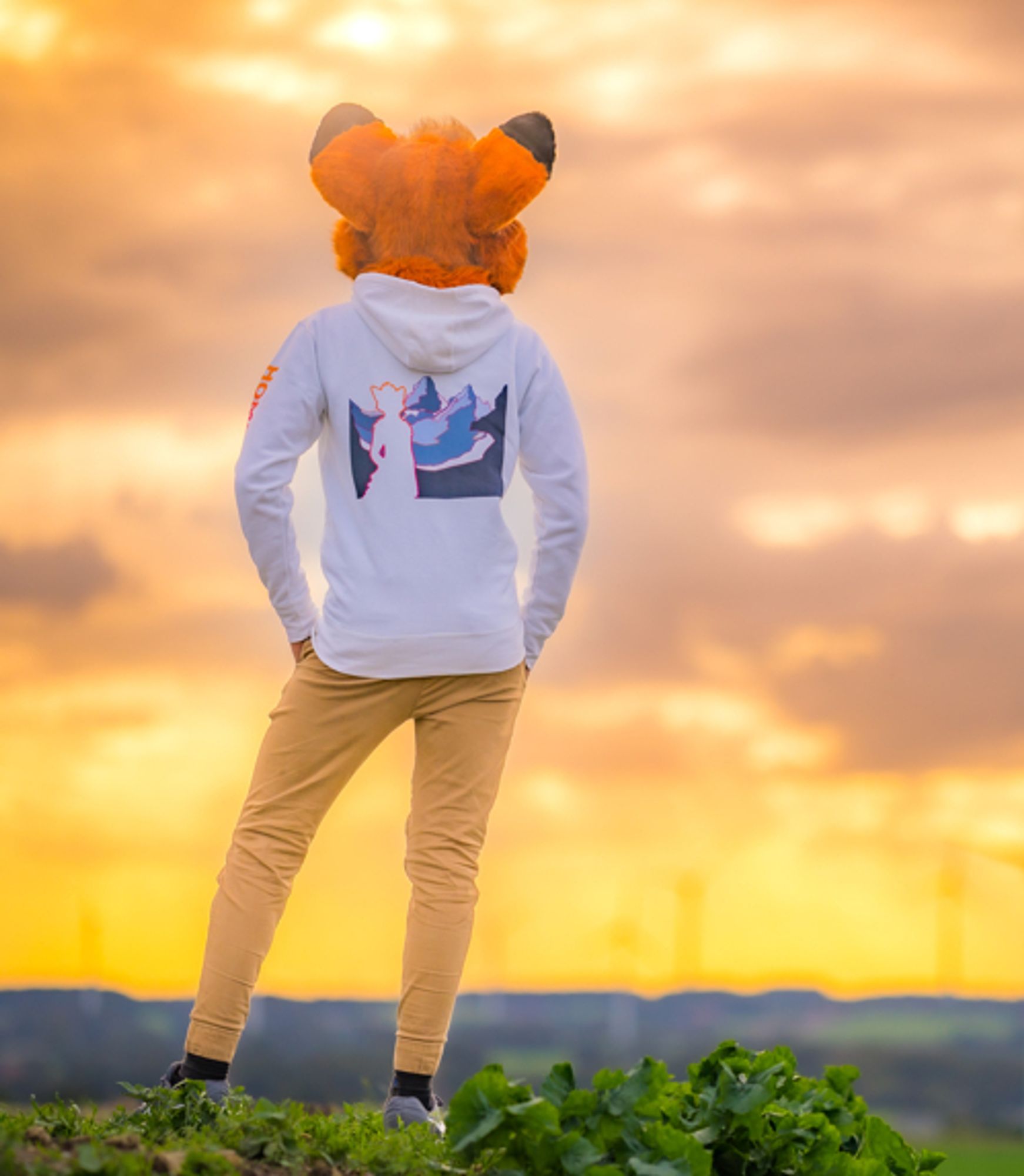 Fox fursuiter golden hour background