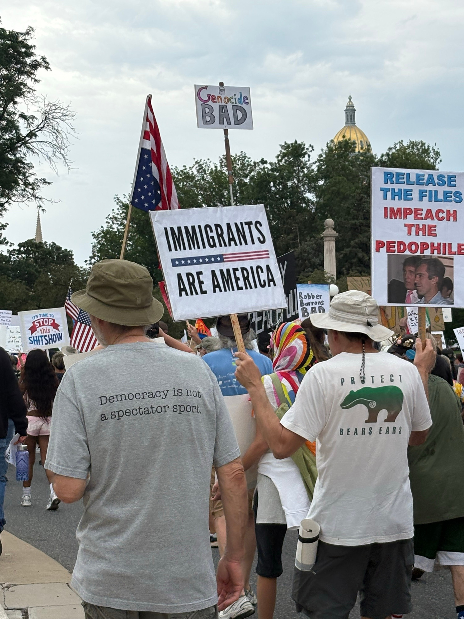 Protesters near the Denver Capitol