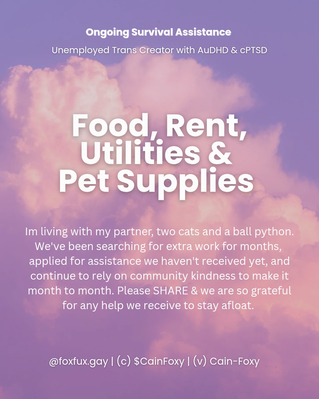 Graphic with a cloud on a bright sky with blue and purple tones. The text is white. Text reads: Ongoing Survival Assistance. Unemployed trans Creator with AuDHD and cPTSD. Food, rent, utilities and pet supplies. I'm living with my partner, two cats and a ball python. We've been searching for extra work for months, applied for assistance we haven't received yet, and continue to rely on community kindness to make it month to month. Please share and we are so grateful for any help we receive to stay afloat. The text at the bottom includes my Bluesky handle and pay links( found in post)