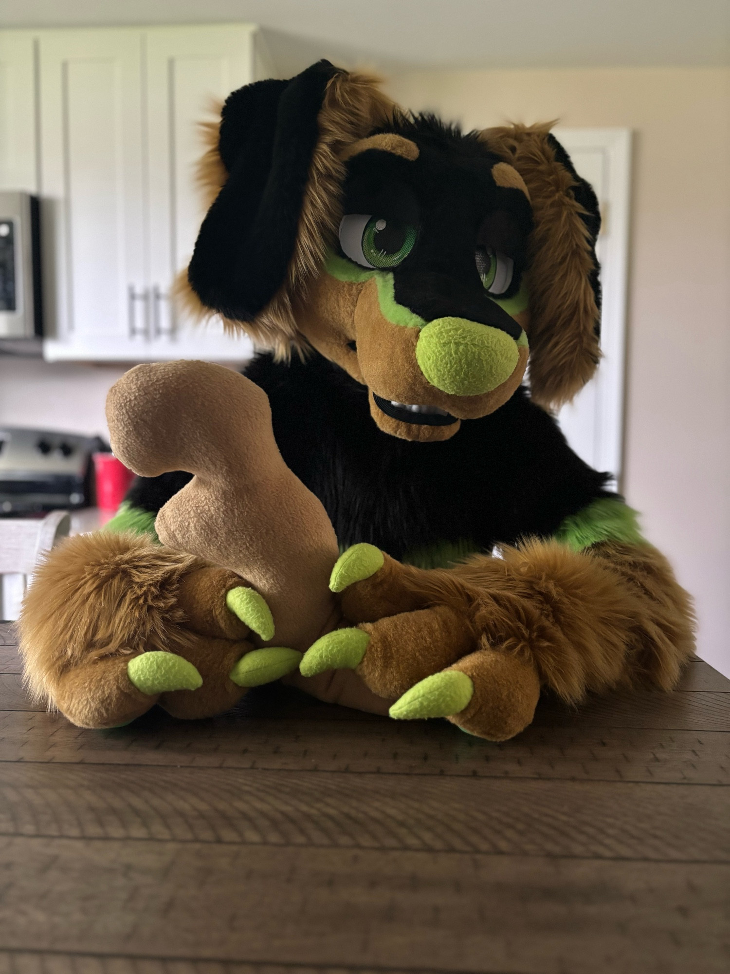 dachshund fursuiter holding a dino nugget plush