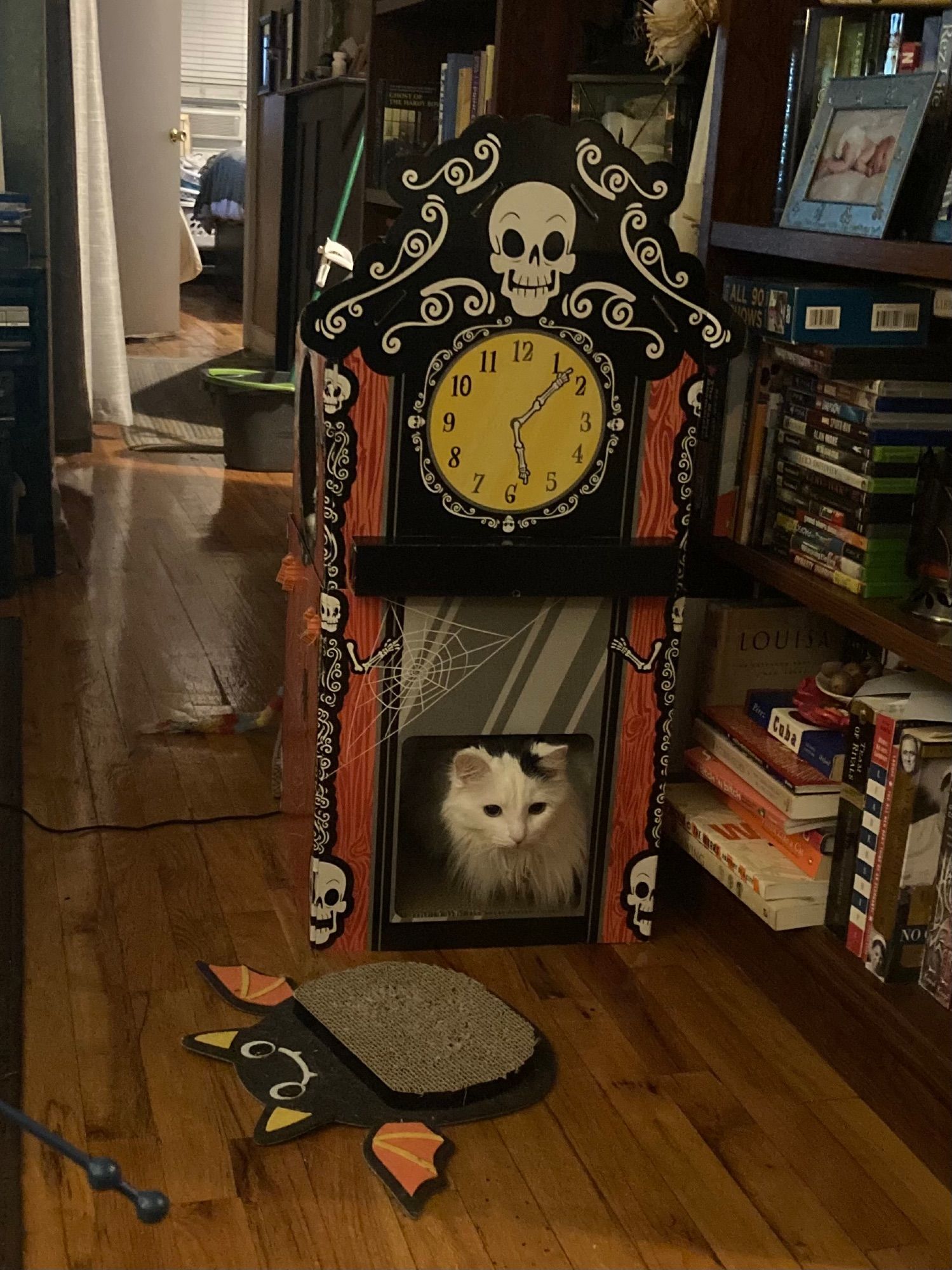 Noodles, a mostly white longhair cat with a little black patch on his head that almost looks like a toupee, sits inside a two-story cardboard cat house decorated to look like a clock tower, with a bat-shaped scratching board serving as its doormat. He is staring out seemingly in contemplation. I can only assume he’s annoyed I haven’t upgraded his lodging to a wizard tower replete with scrying mirror and orrery.