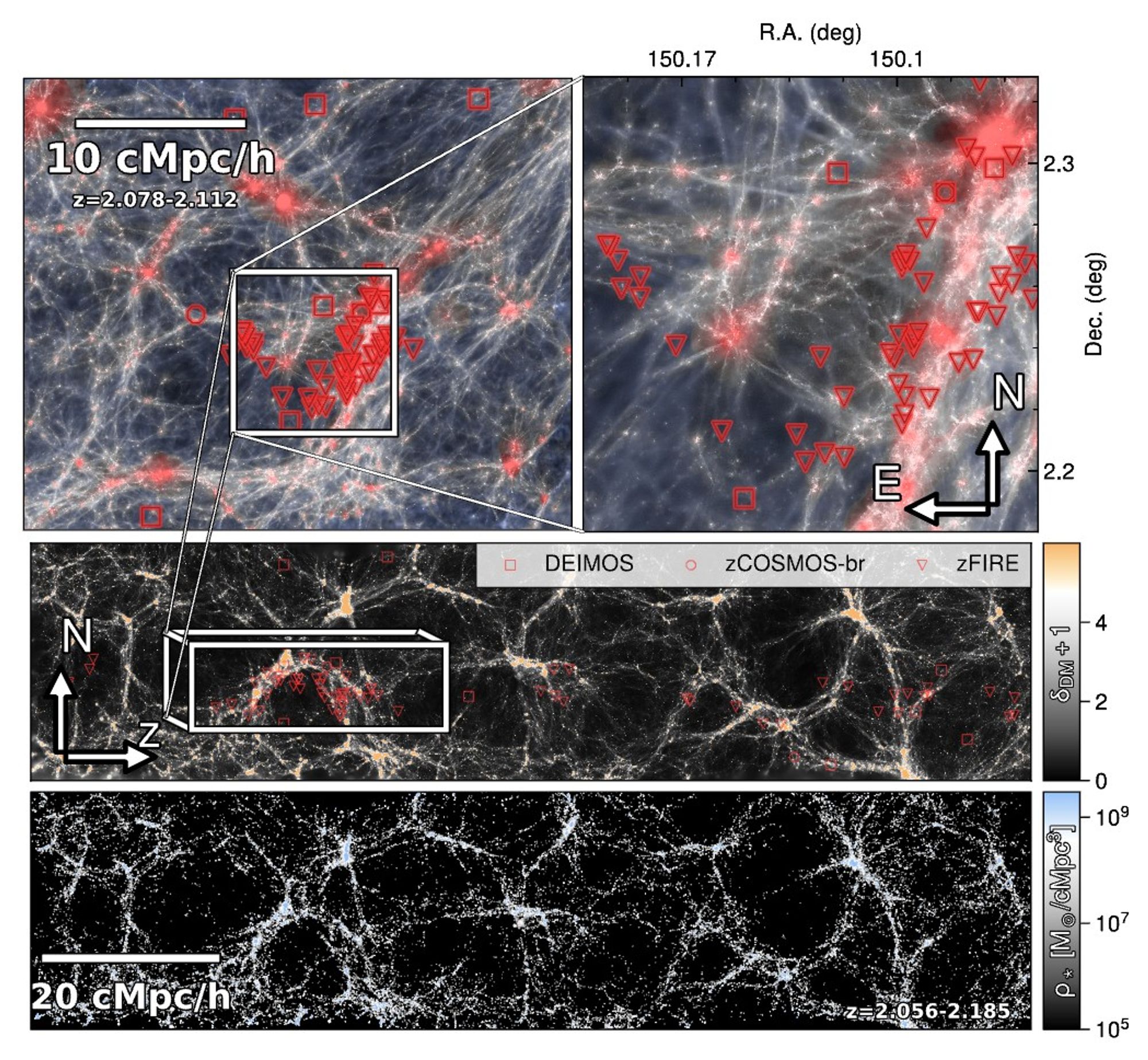 A visualization of the cosmosTNG cosmological hydrodynamical simulation, where the initial conditions were designed to reproduce the observed cosmic web structures observed at 2<z<2.5 by the CLAMATO IGM tomography survey in the COSMOS fields. The agreement with the real observed galaxies and the simulated cosmic web is remarkable.