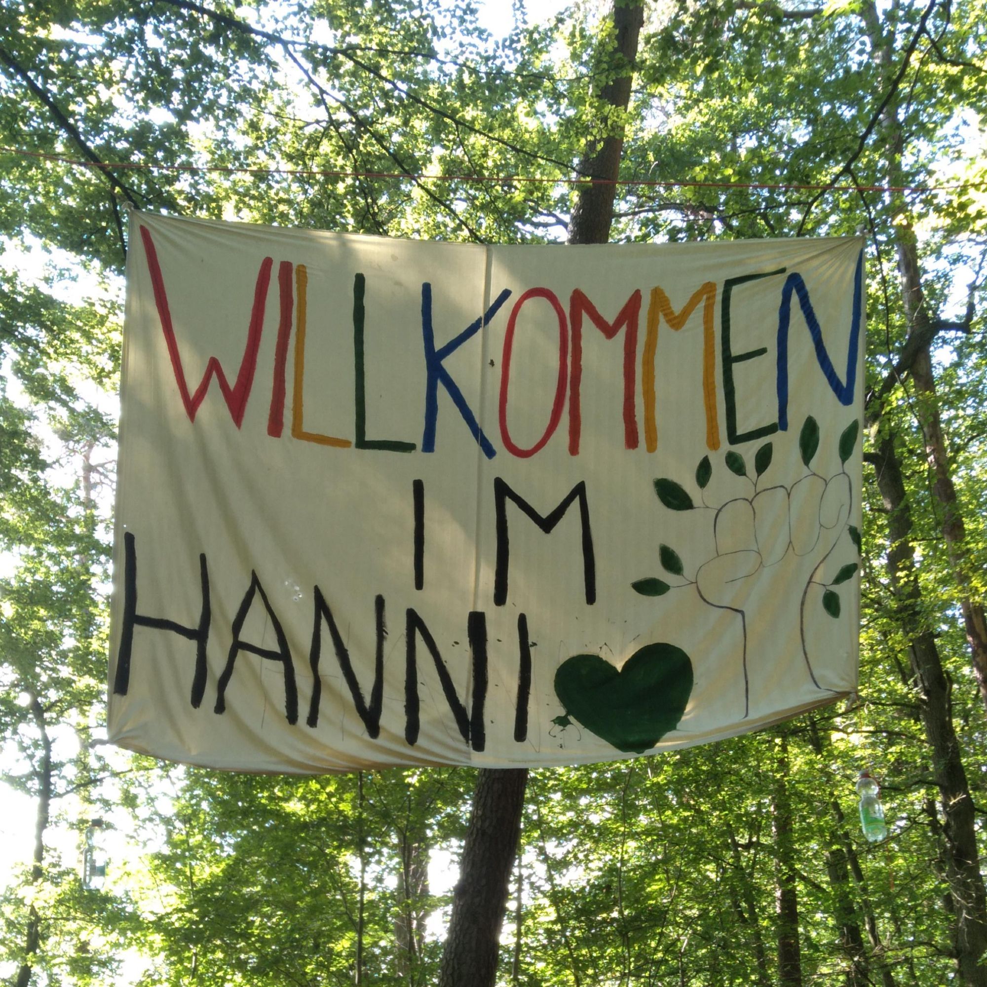 Banner im Wald