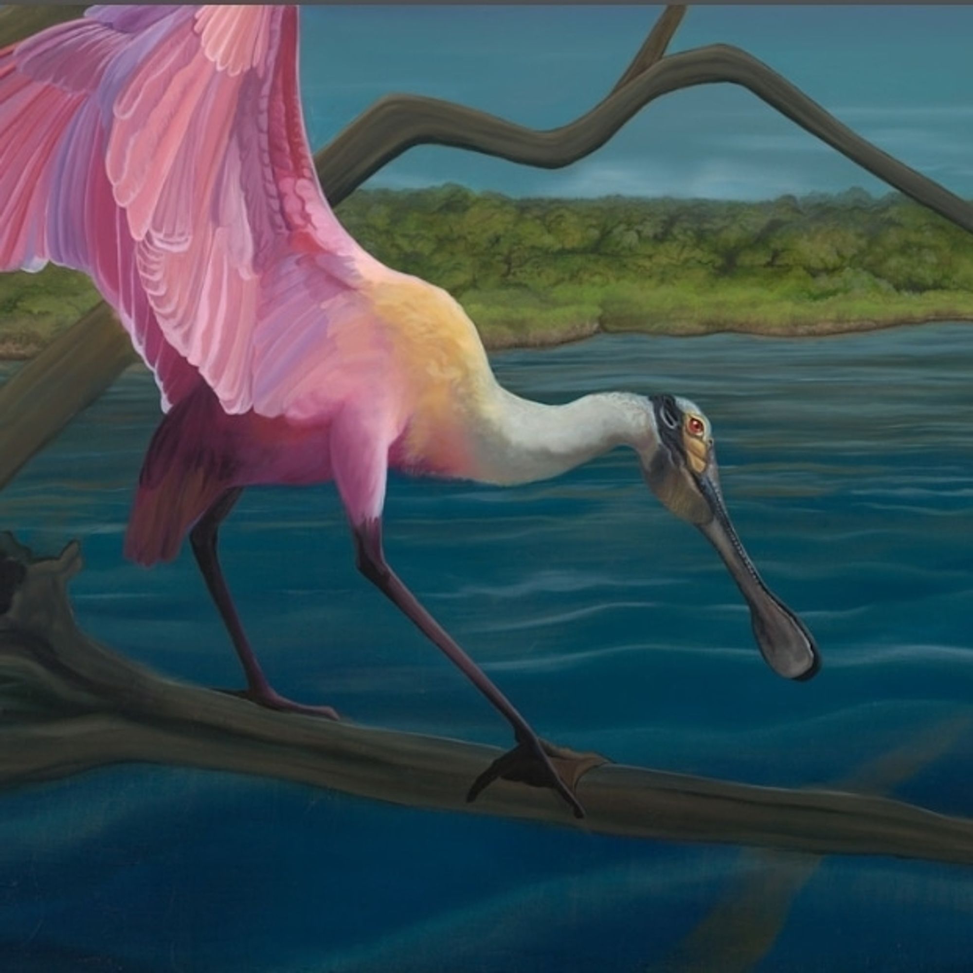 "Swagger" oil on canvas Spoonbill by Allison Richter