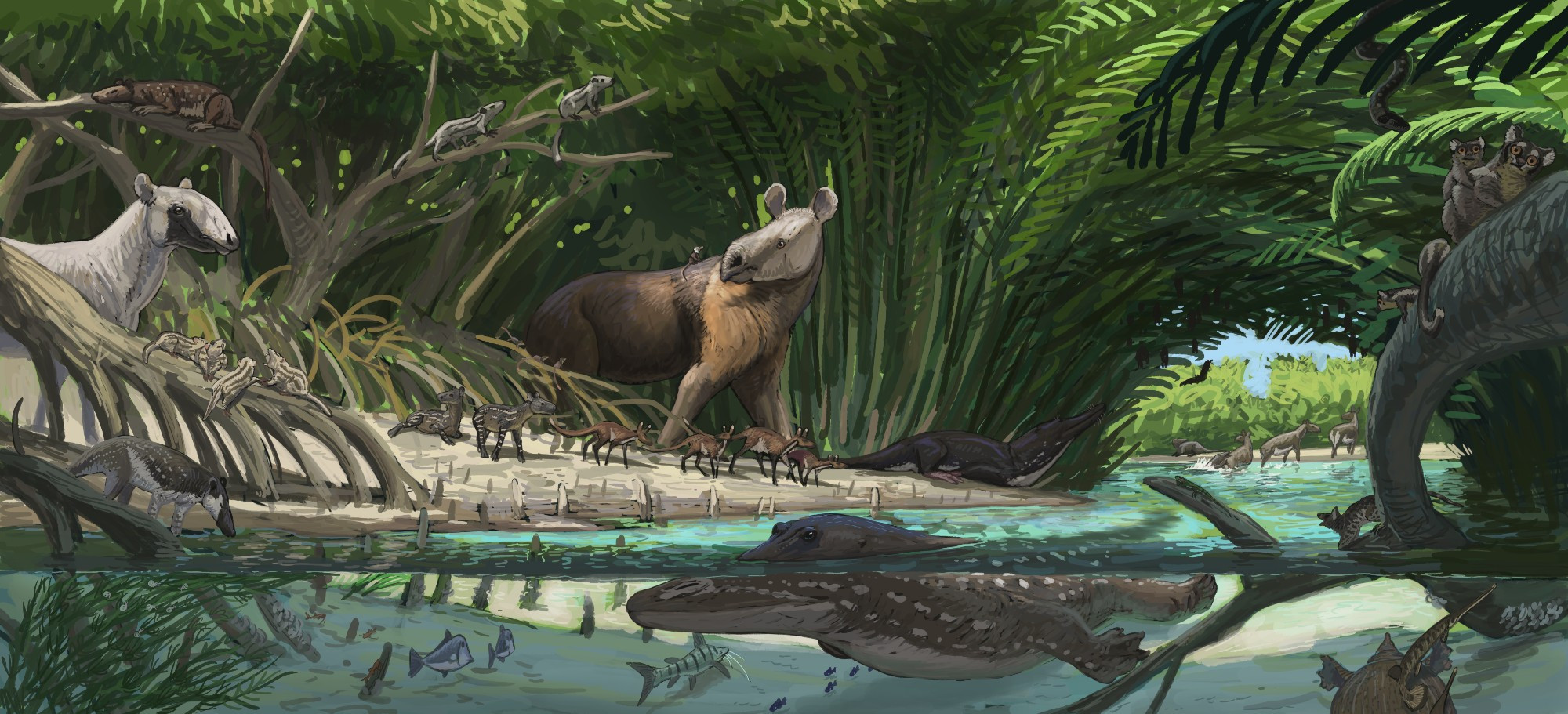 #sciart #paleoart 