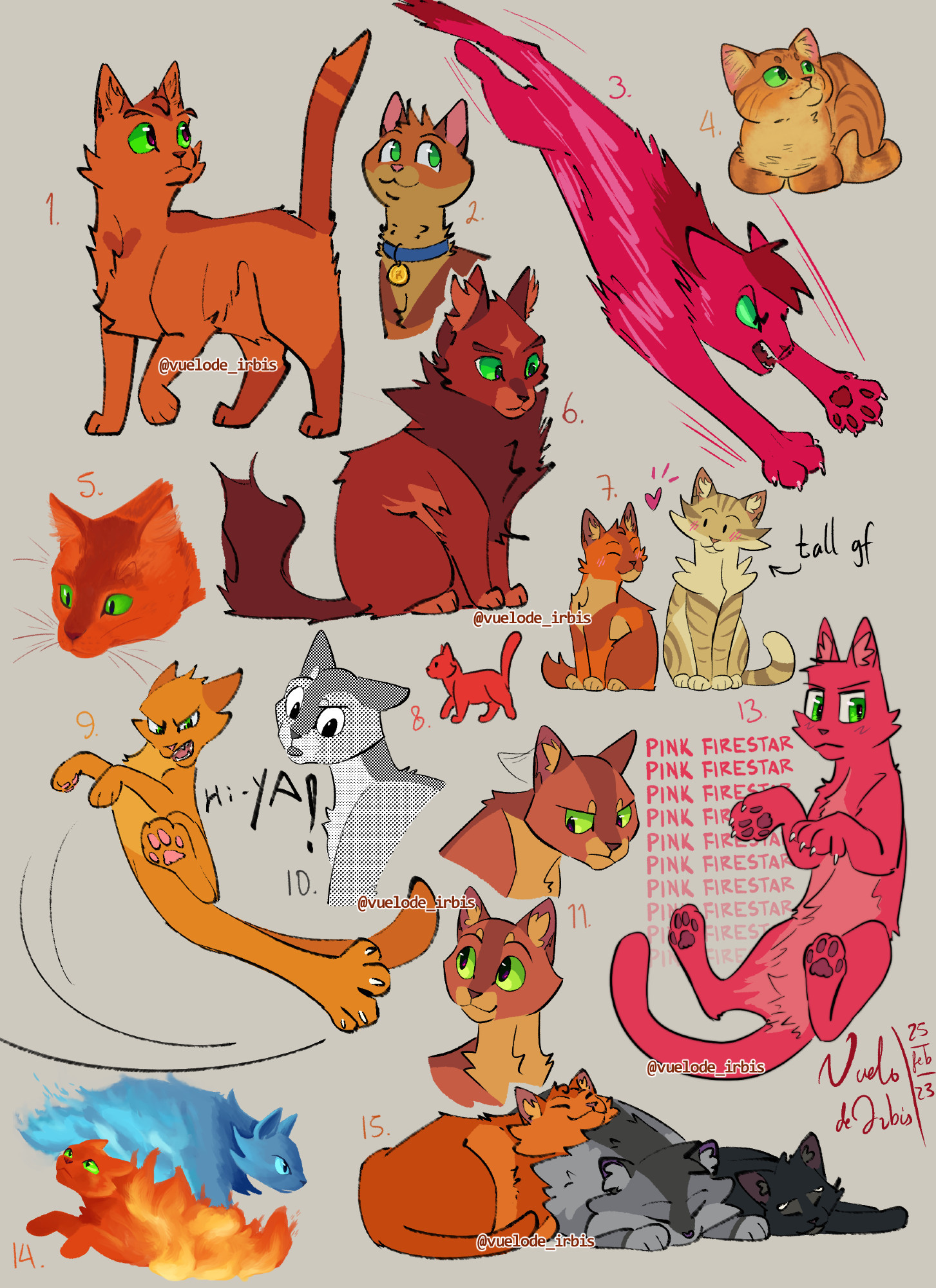 A digital drawing that contains fifteen designs of Firestar from Warrior Cats. First one is bright orange with square features. Second one is rounder and has duller colors. Third design is bright pink and is in an attack position, he's launching at something below. Fourth design shows an orange tabby in loaf position. The fifth is a realistic drawing of a very orange Firestar. In the sixth one he has dark red tones and a big mane, he also has a leader mark in the forehead. The seventh is a little drawing of Firestar and Sandstorm sitting together, with a little heart popping up between the two; the text next to Sandstorm reads "Tall gf" and there's an arrow pointing at her. Eighth is another little drawing of Firestar in pure bright orange. Number nine shows a lighter orange colored action pose in which he's kicking someone with his hind leg. Tenth shows a black and white version of him, he looks like a manga character, eleventh has two drawings that have the same design as in ten, but they're colored, in one he looks pissed and in the other one, he's smiling. The artist missed number twelve. Thirteenth design is also a pink version, Firestar is floating before a repeating text that reads "PINK FIRESTAR" in all caps, and fades as it goes down. Fourteenth drawing shows him and Bluestar, both becoming fire as in their prophecies. Fifteenth and last drawing features him with Graypaw and Ravenpaw, the three sleeping together.